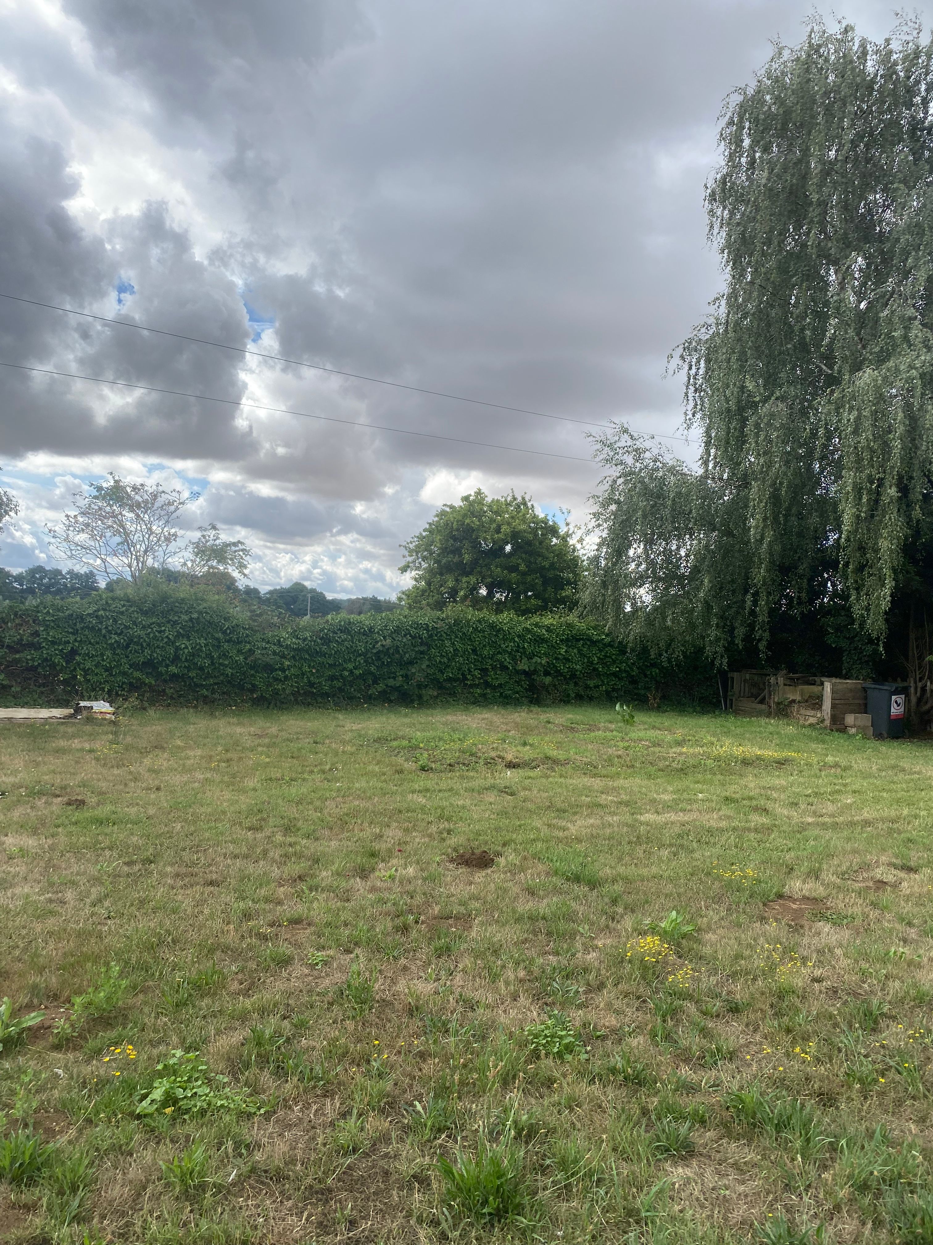 image-15