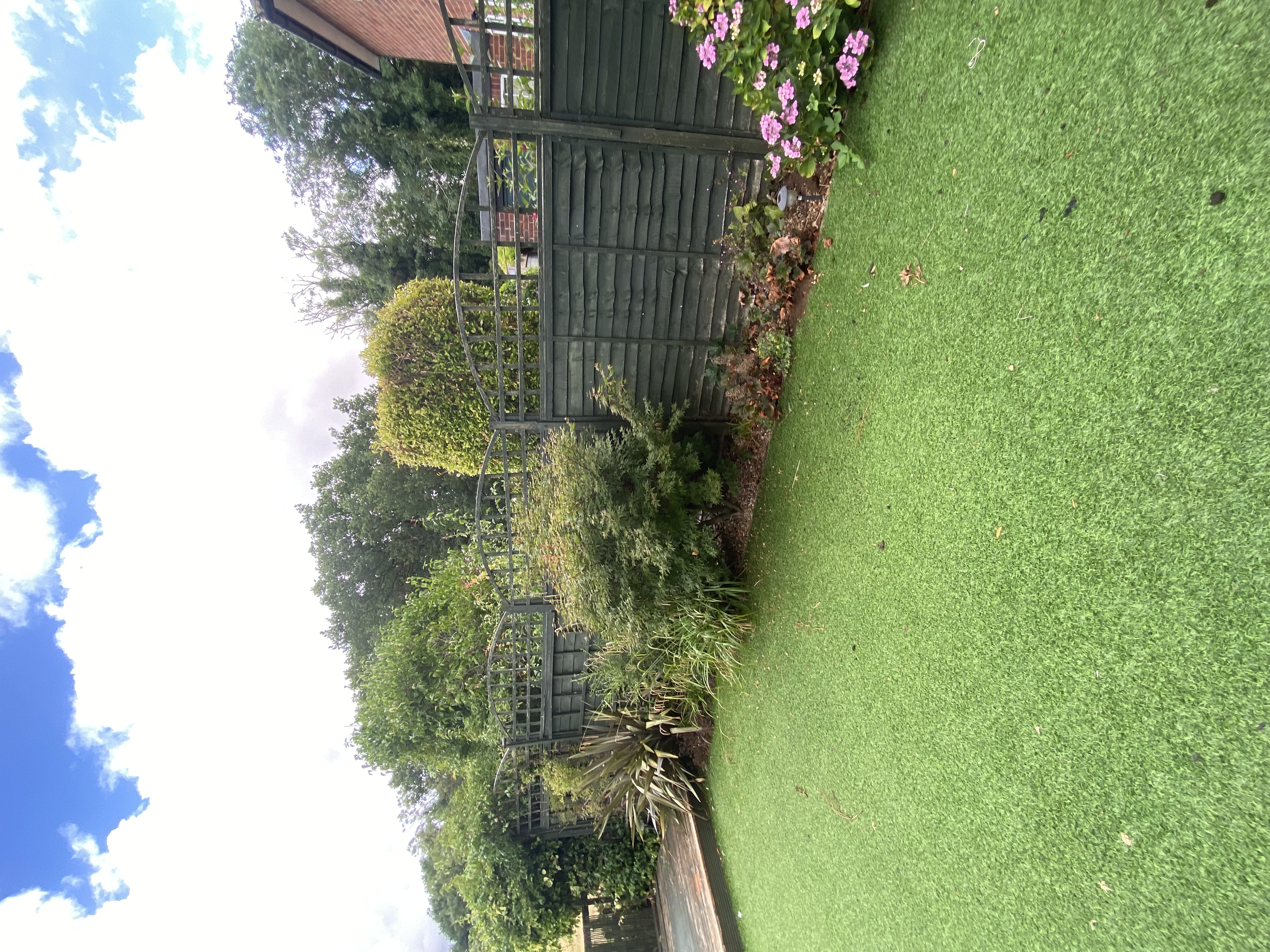 image-10