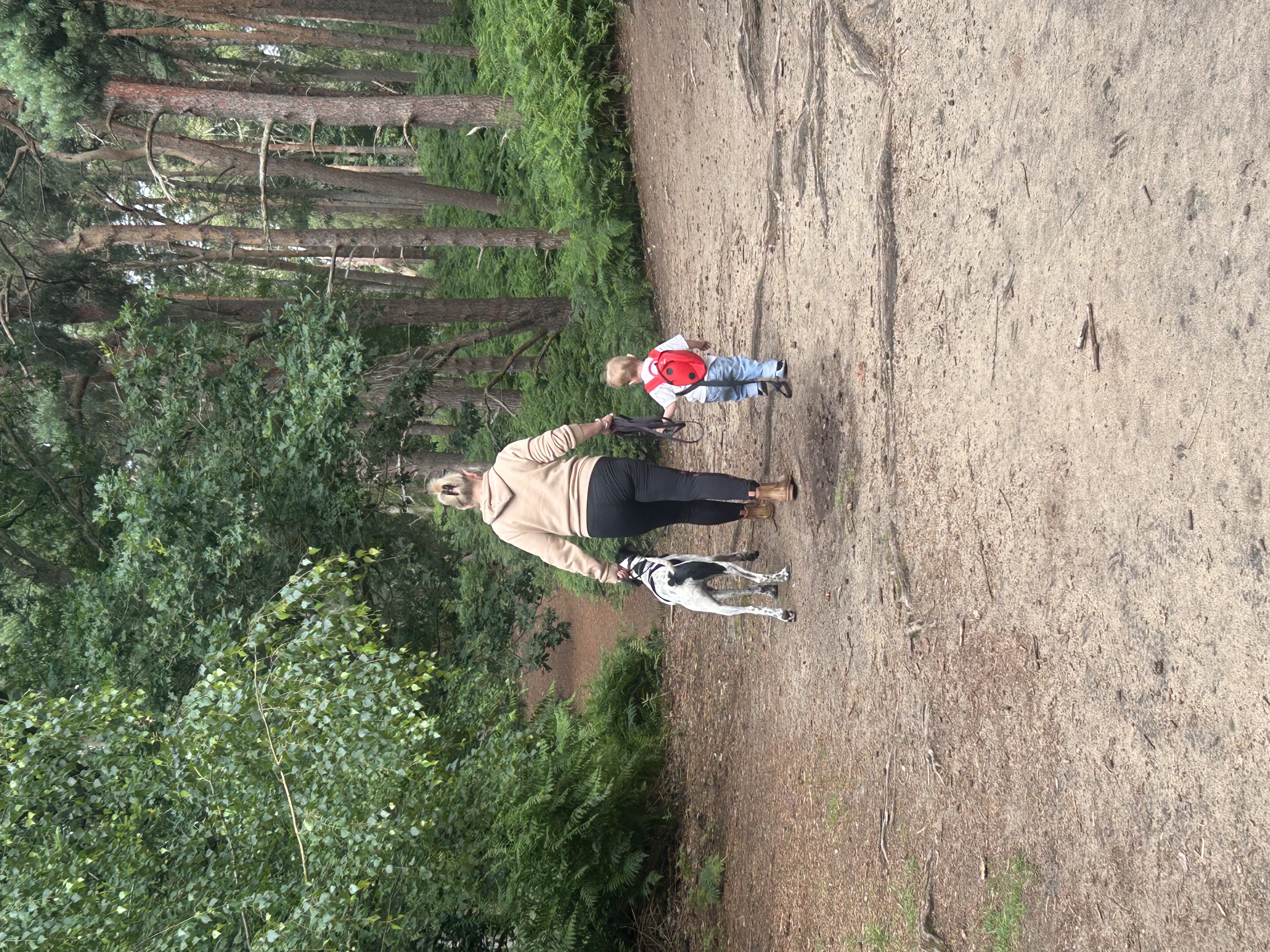 image-2