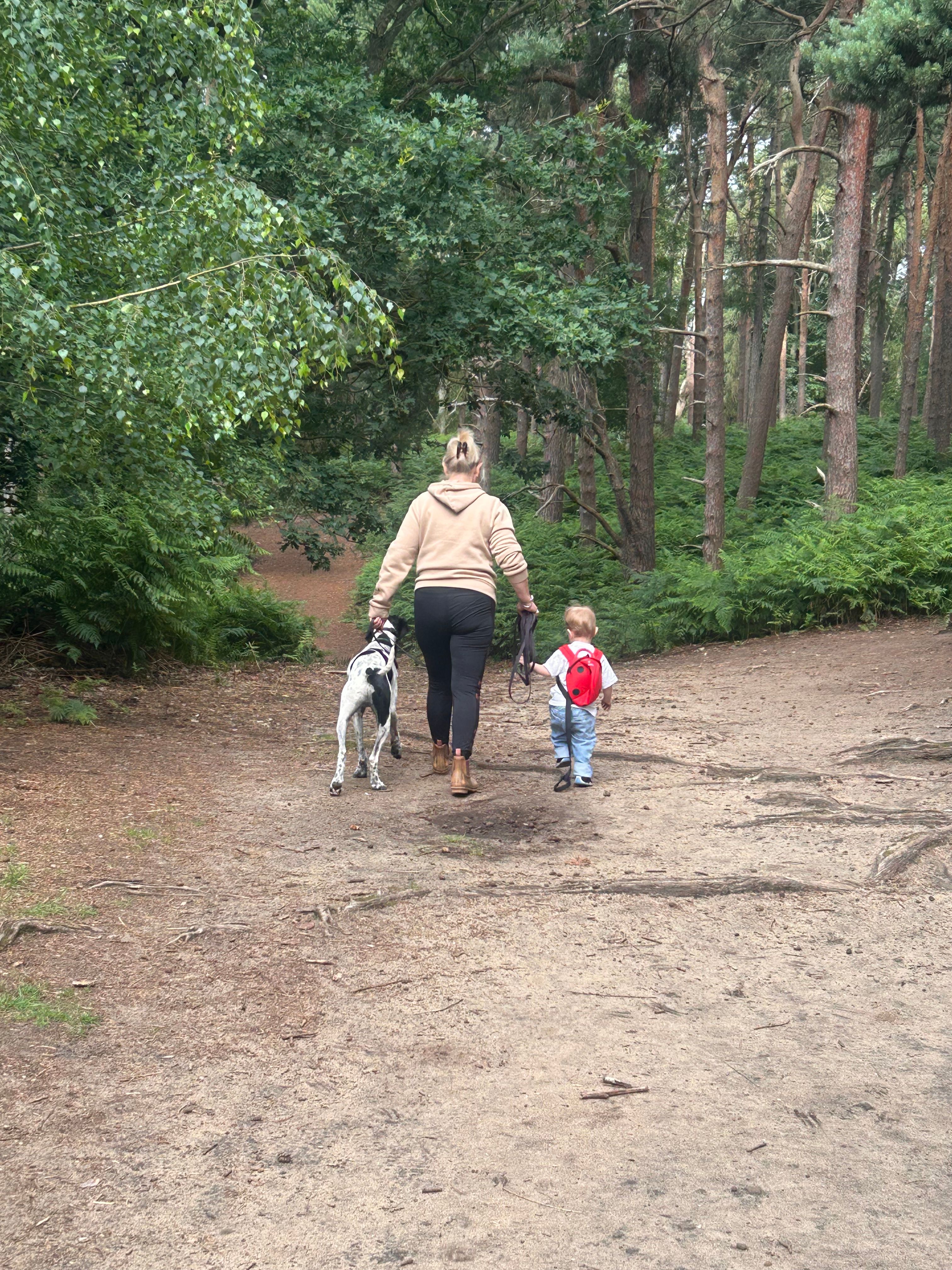 image-2