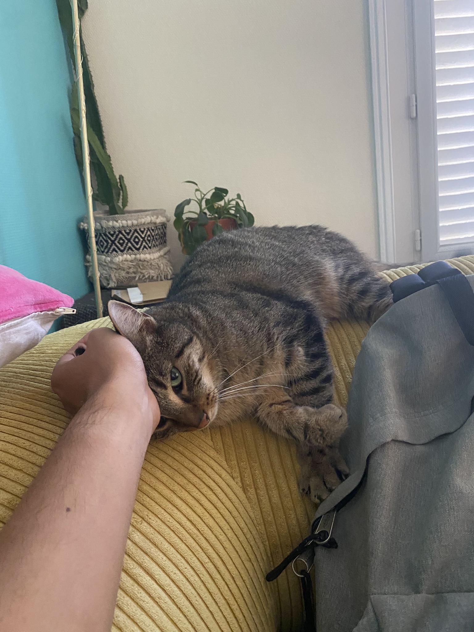image-6