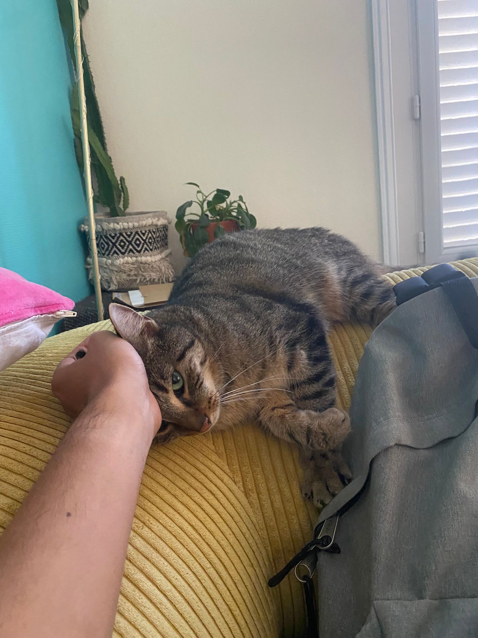 image-6