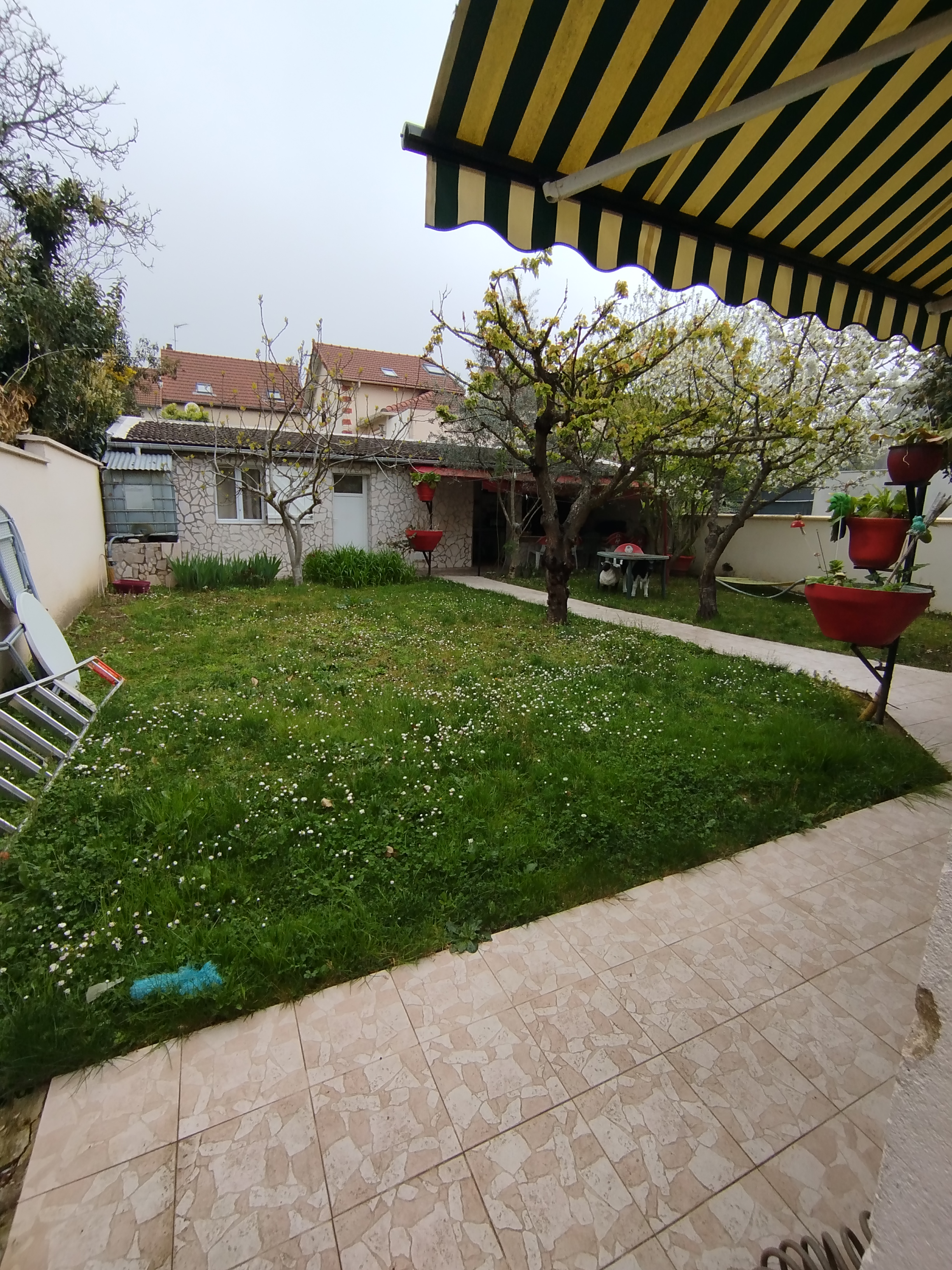 image-20