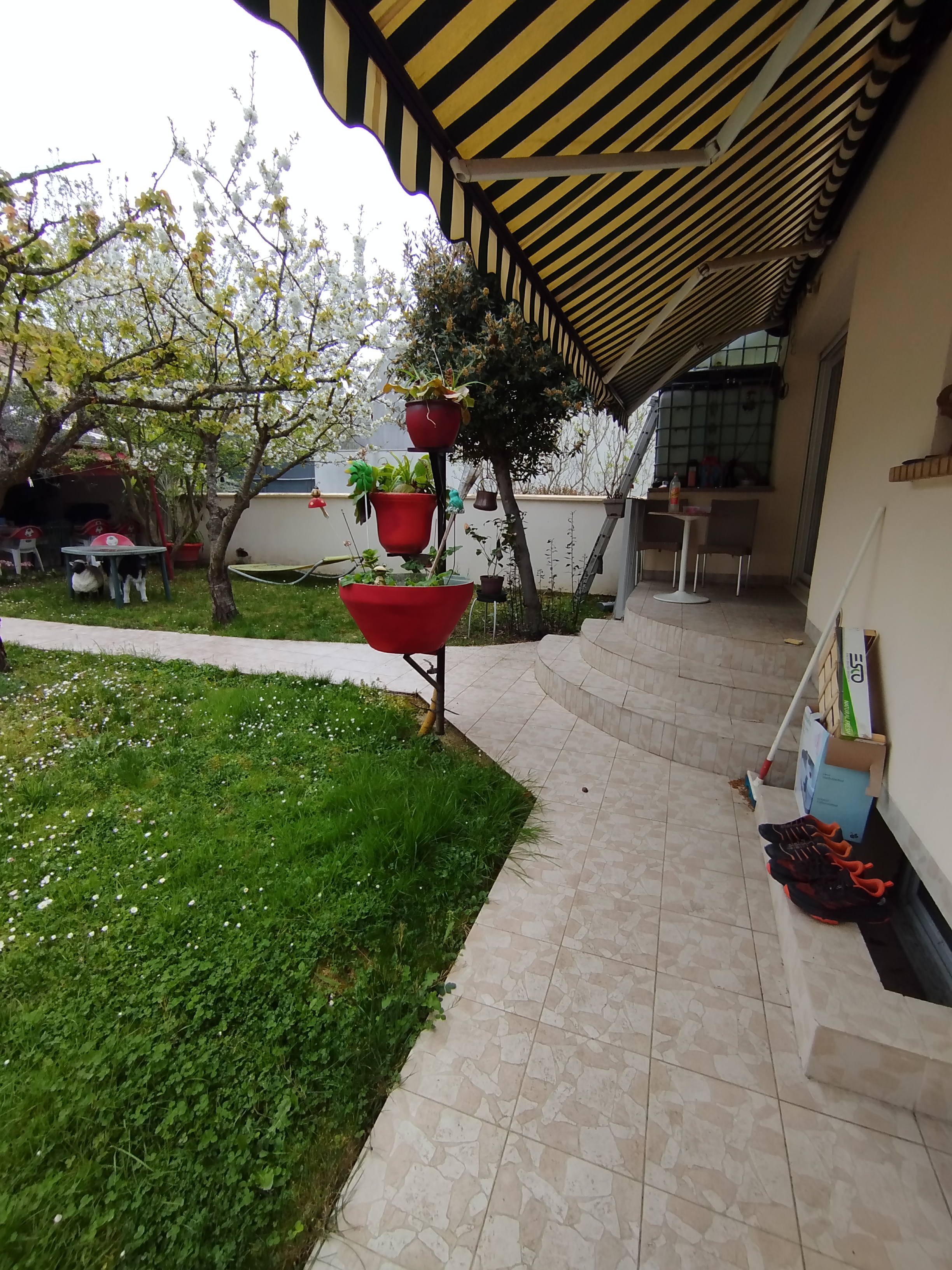 image-22