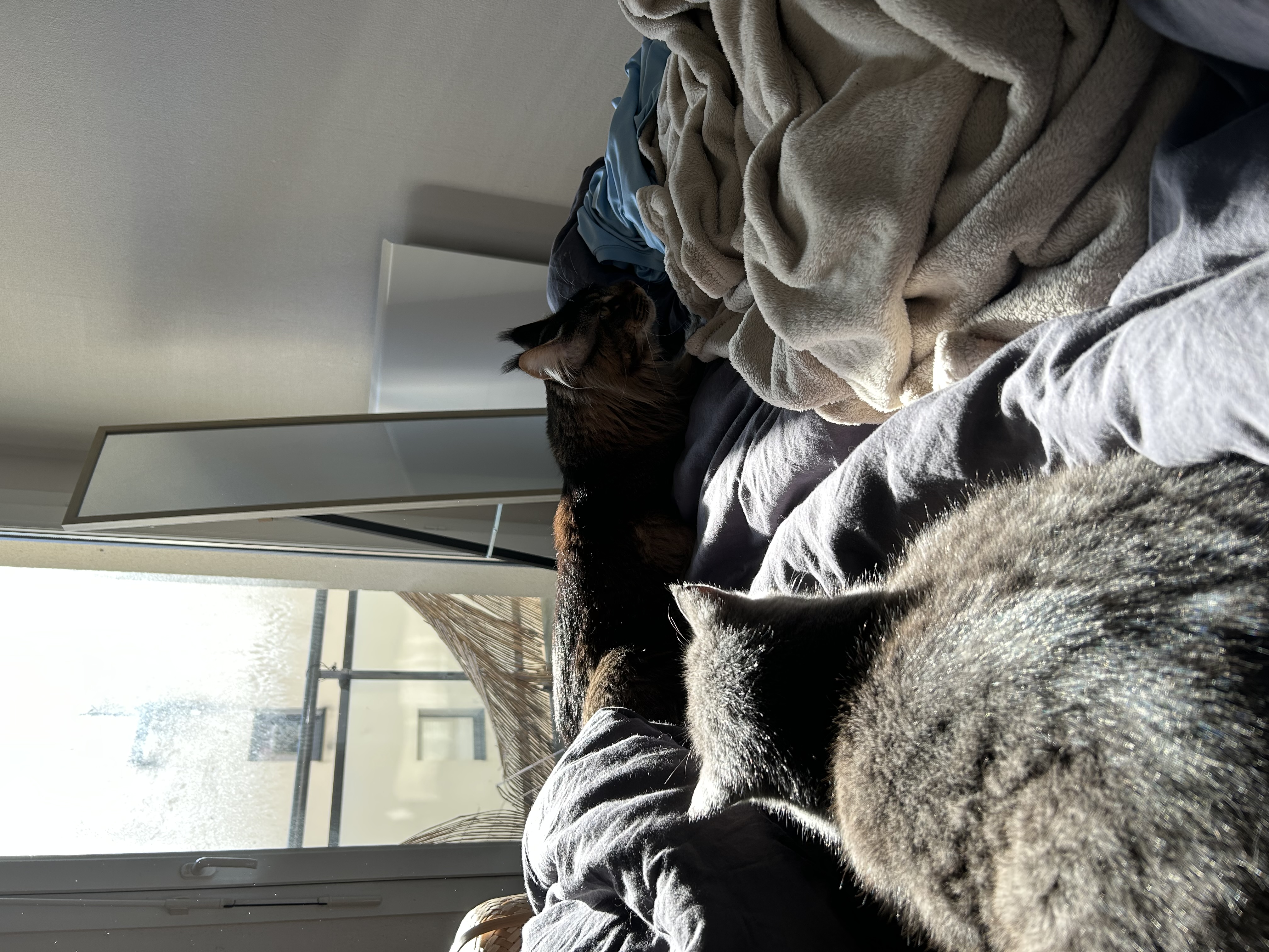 image-14