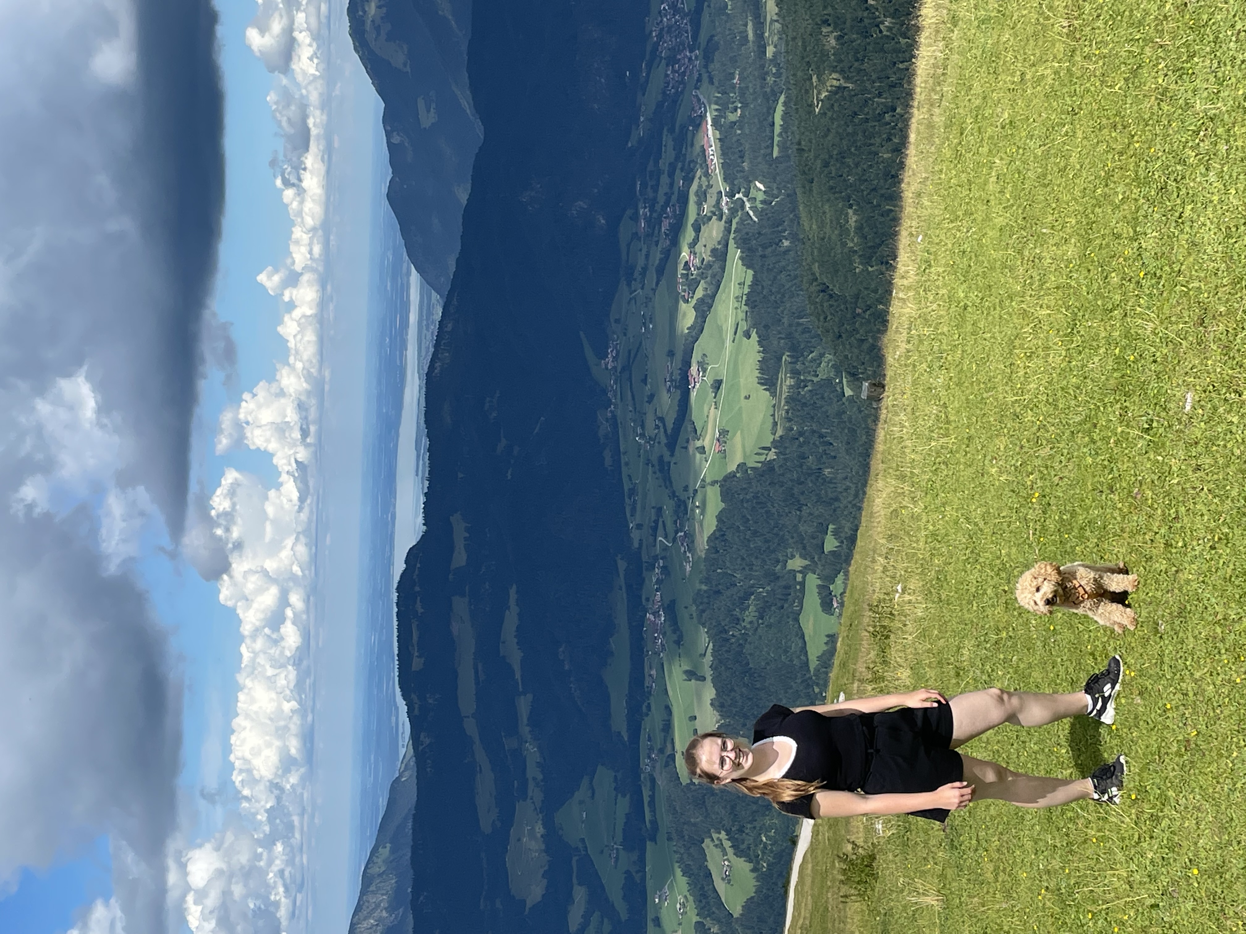 image-2