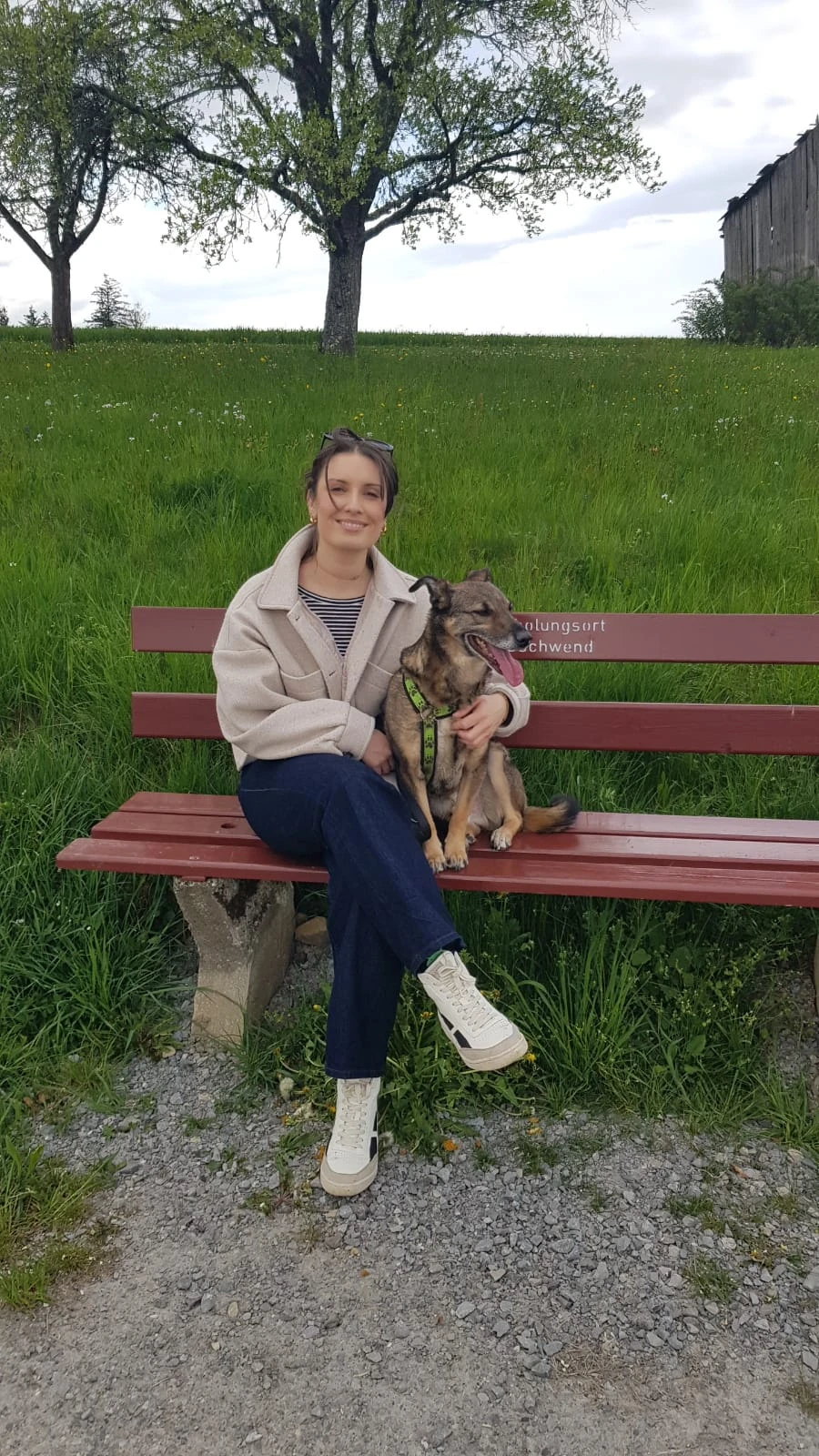 image-7