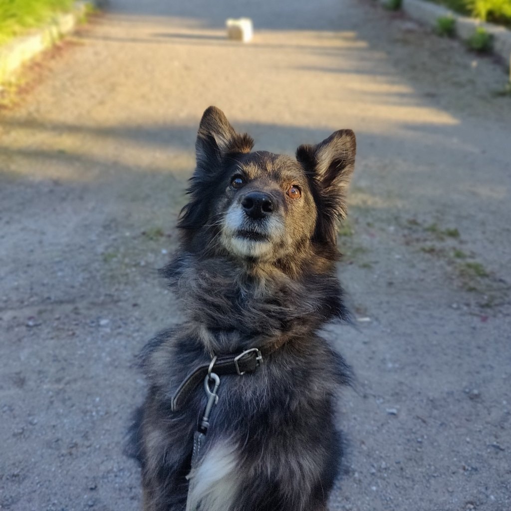Elsa