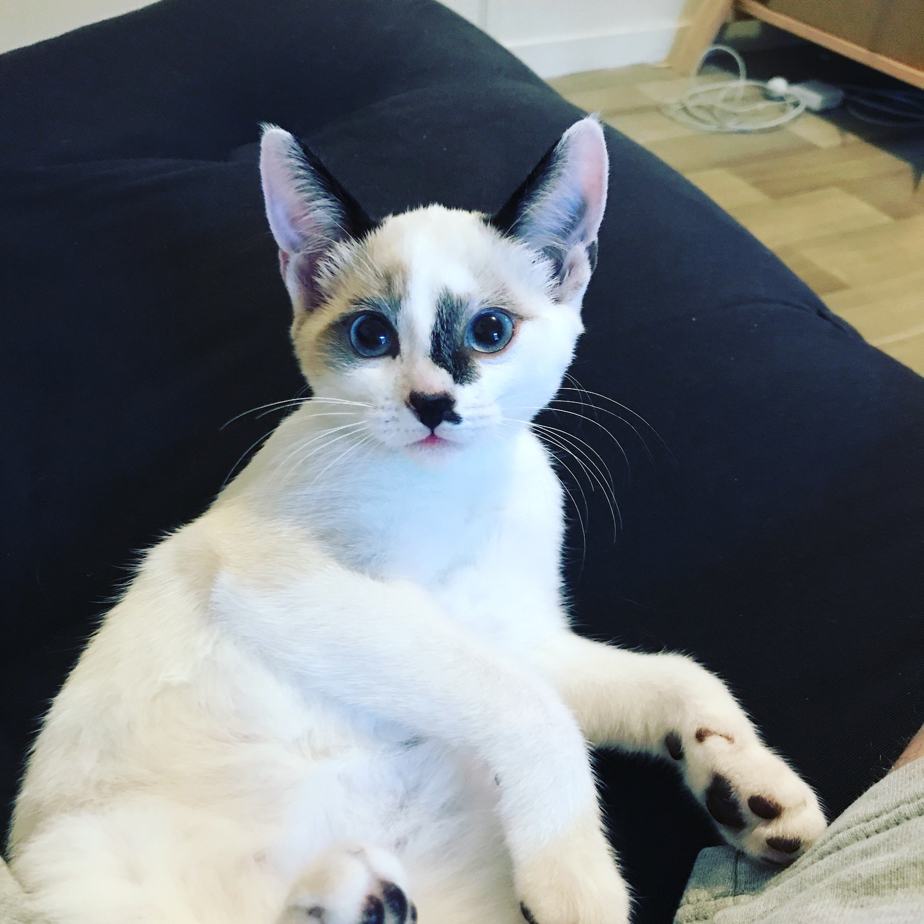 Nalla