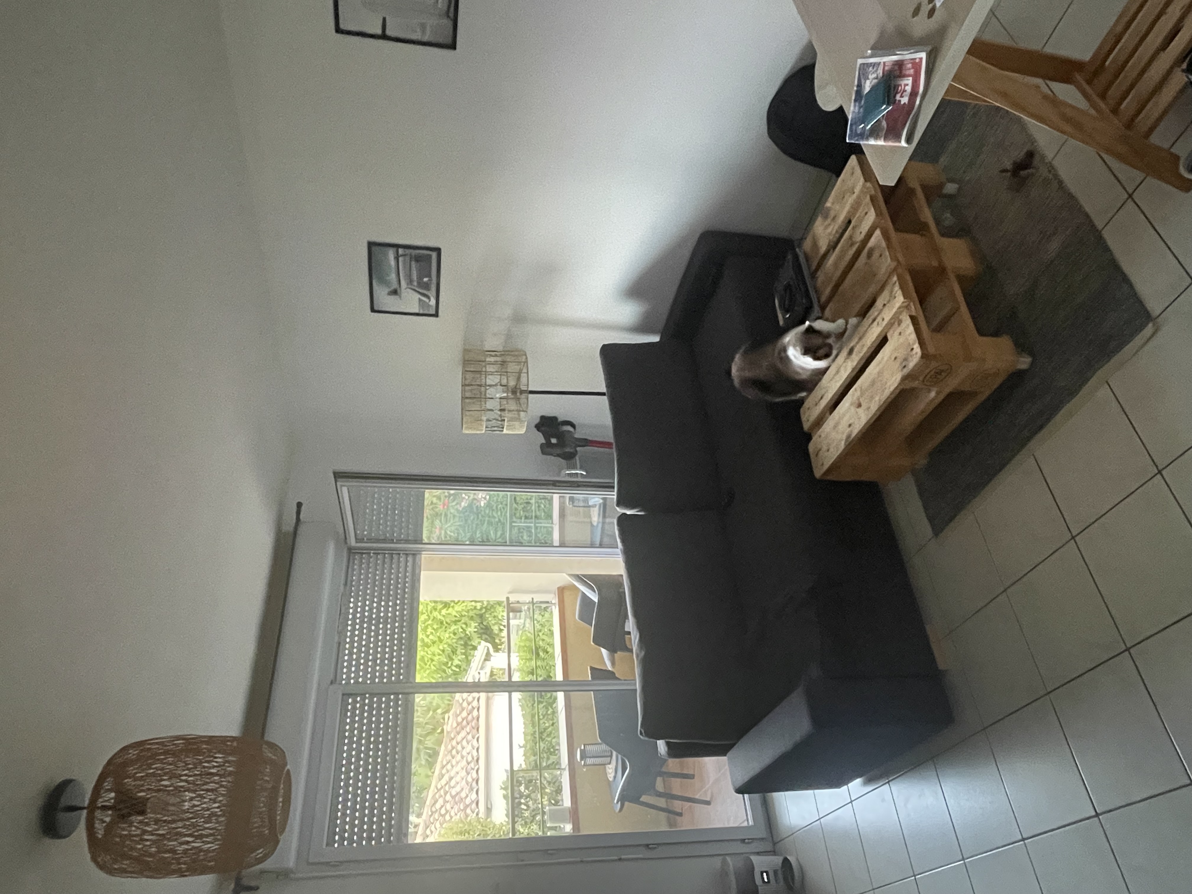 image-20