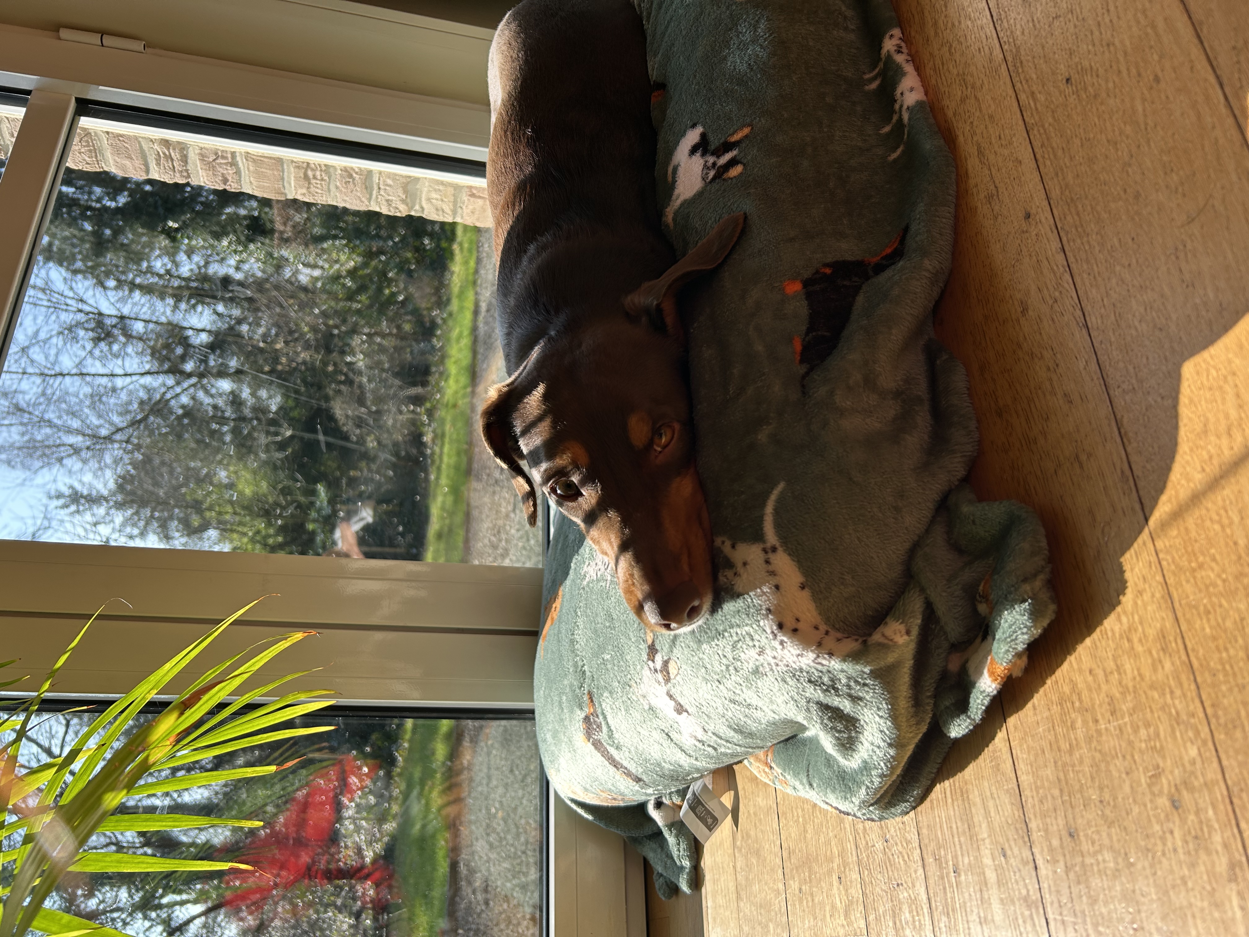 image-7