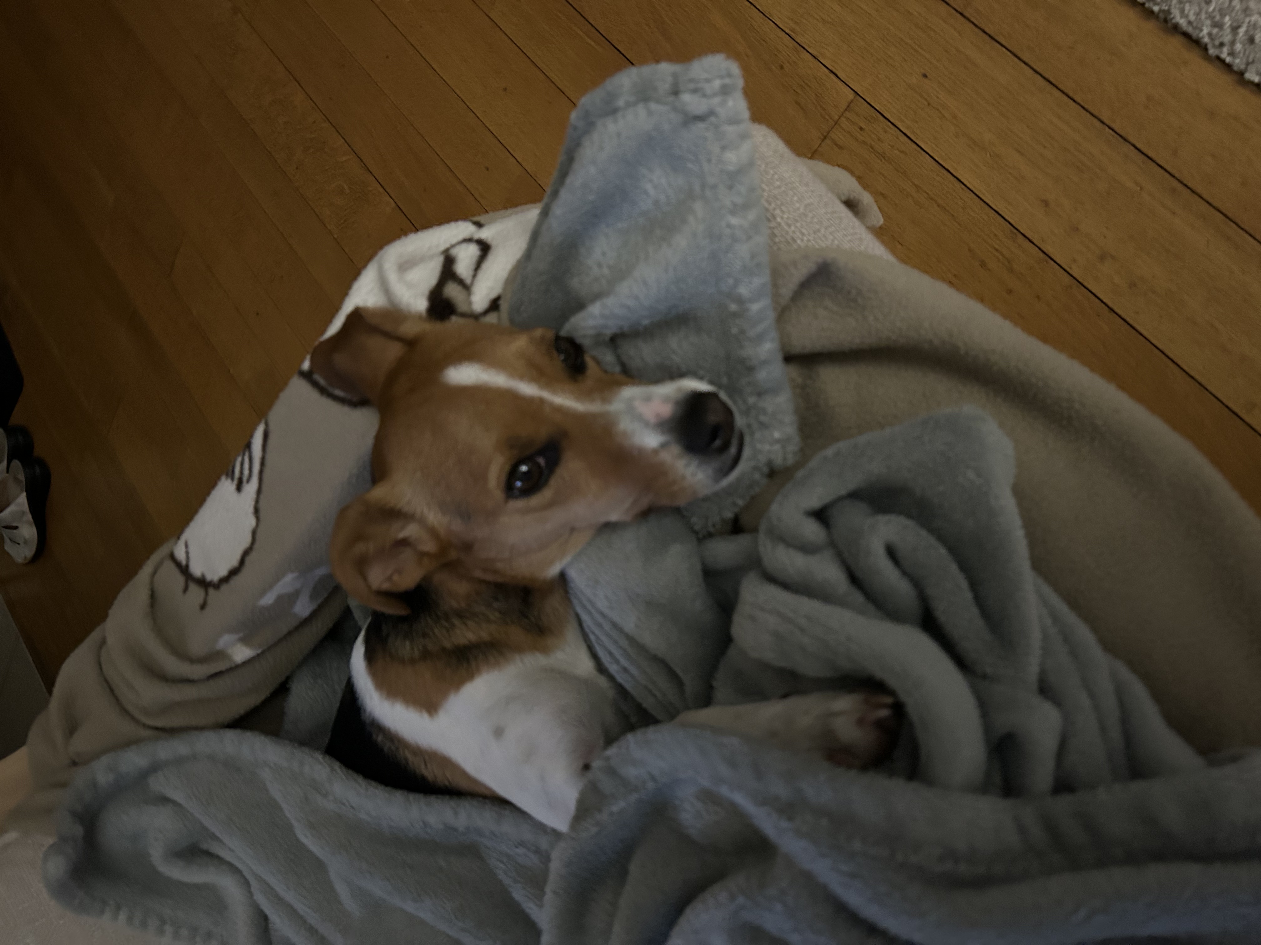 image-8