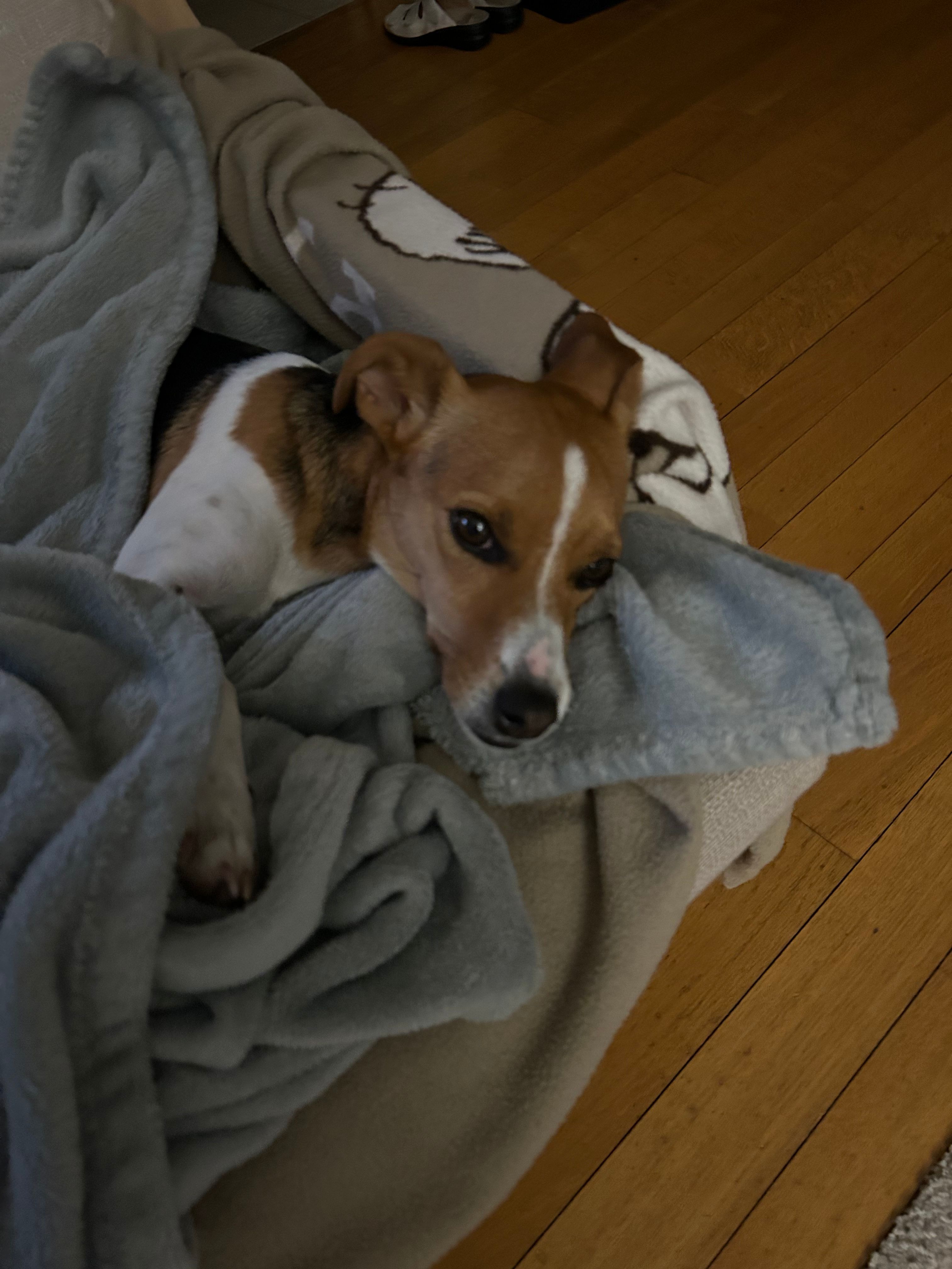 image-8