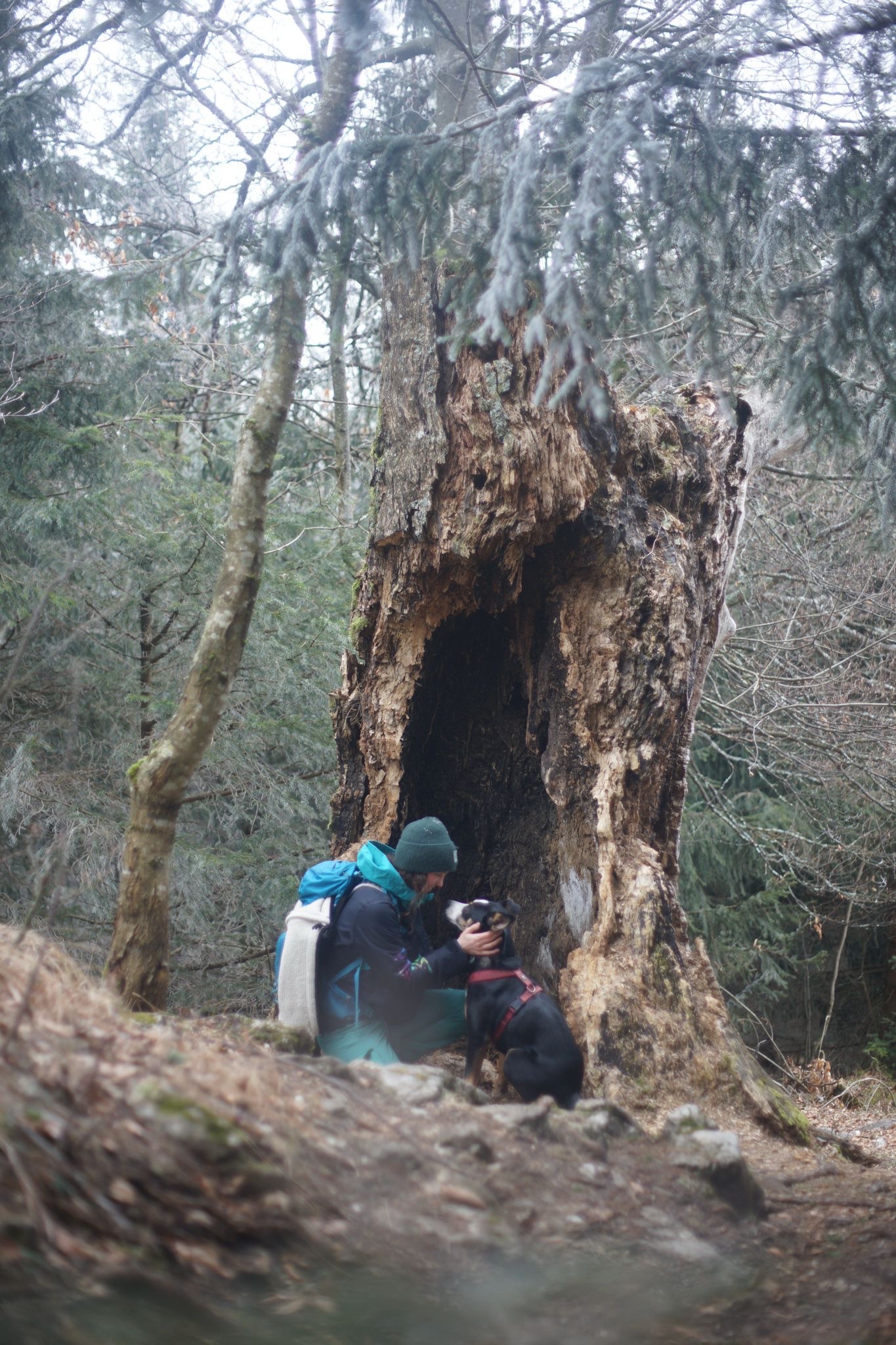 image-4