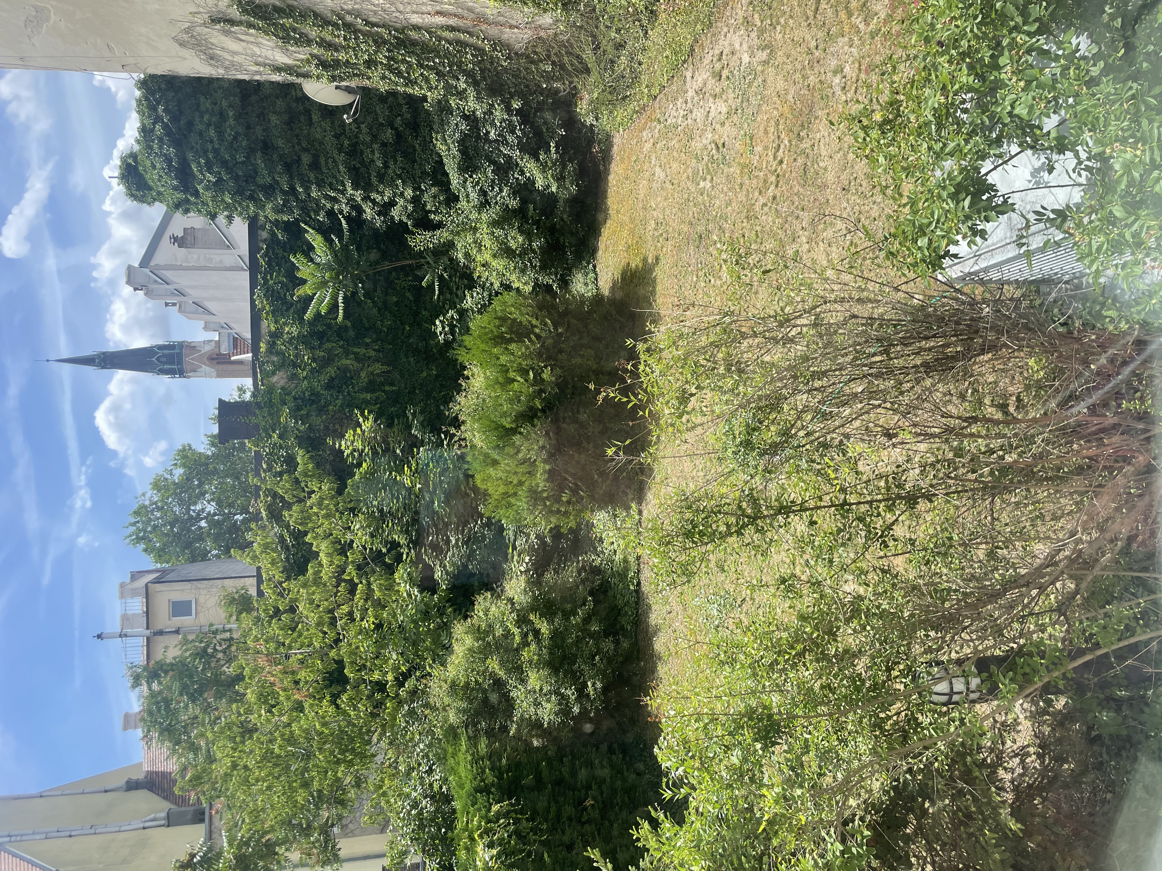 image-12