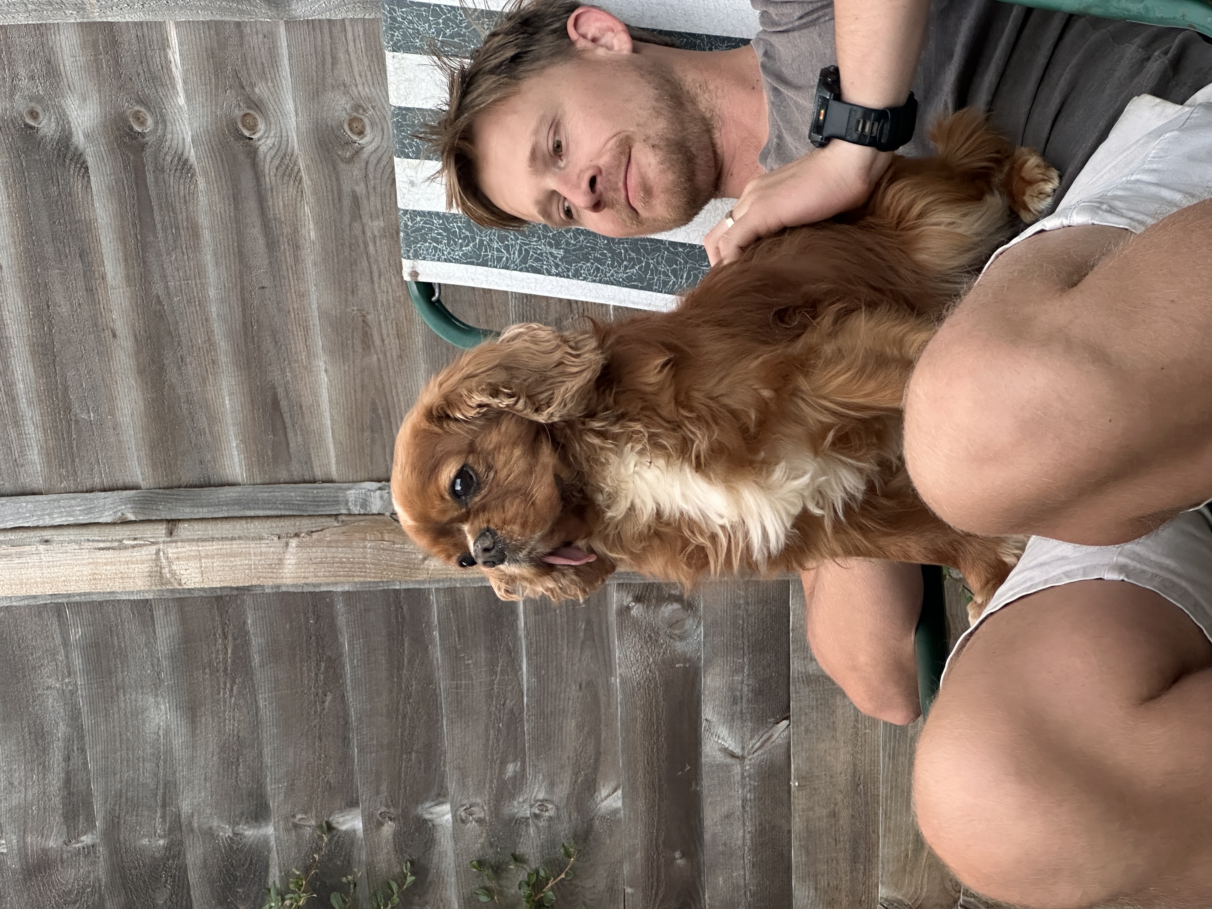 image-10