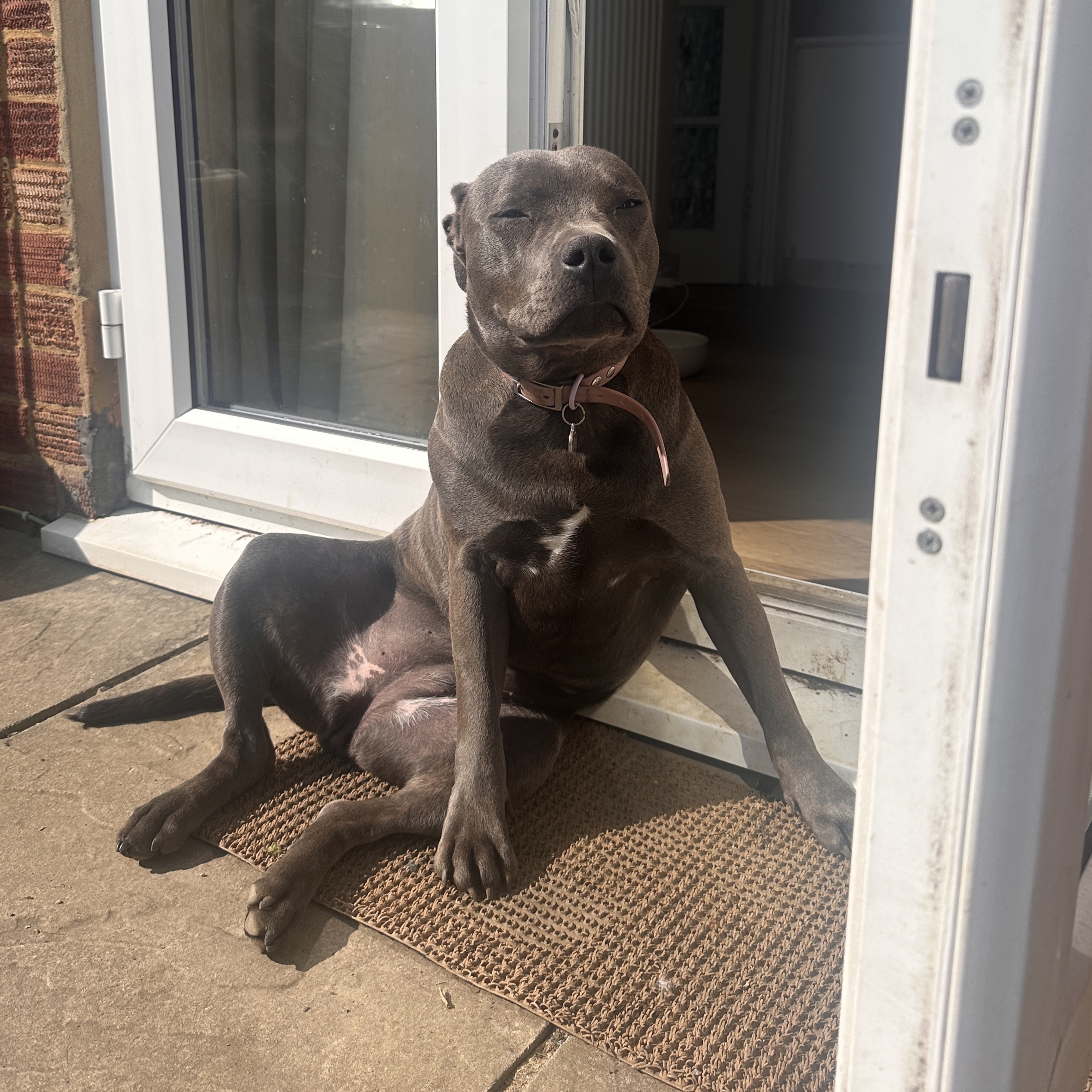 Roo