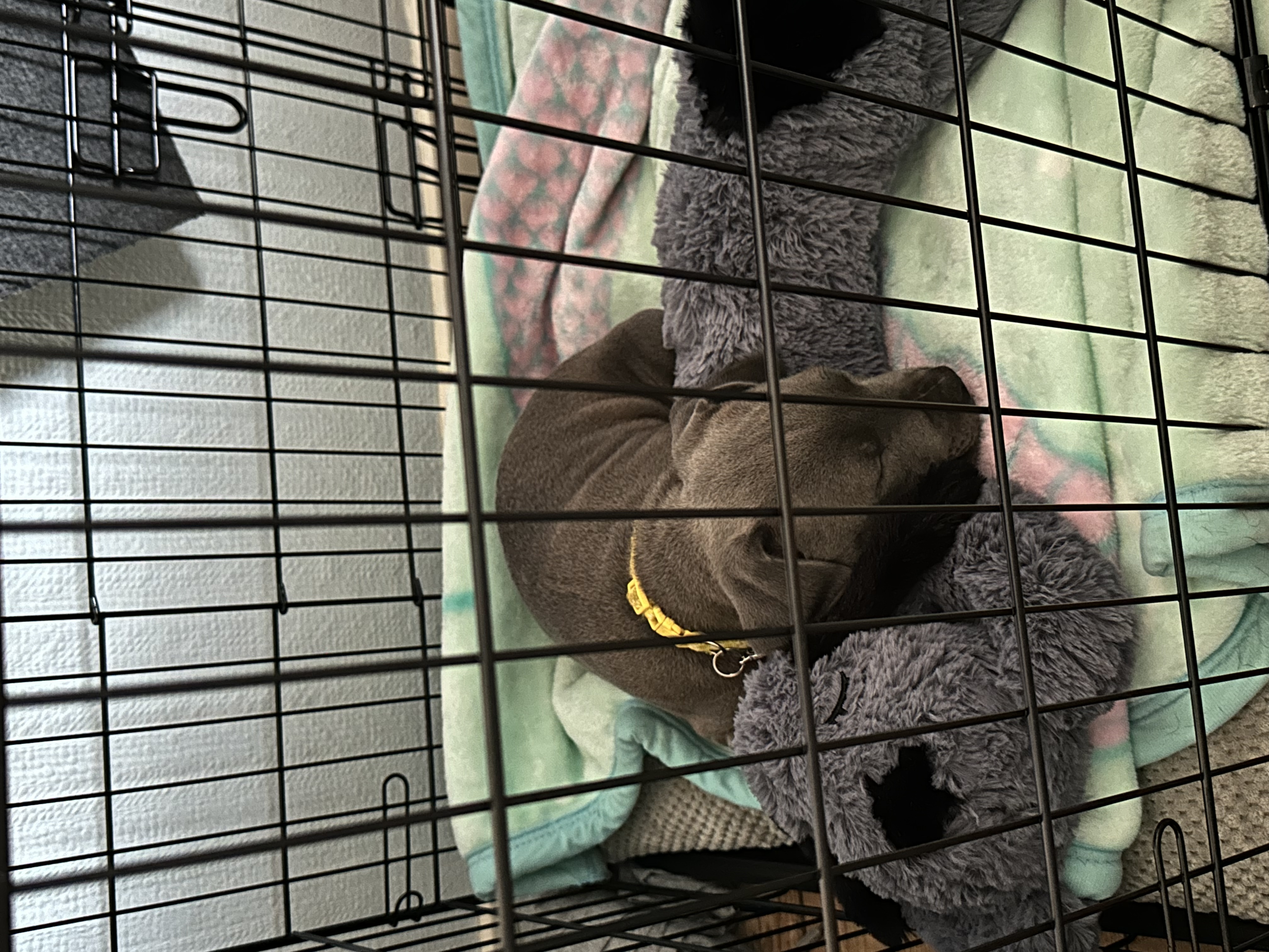 image-18