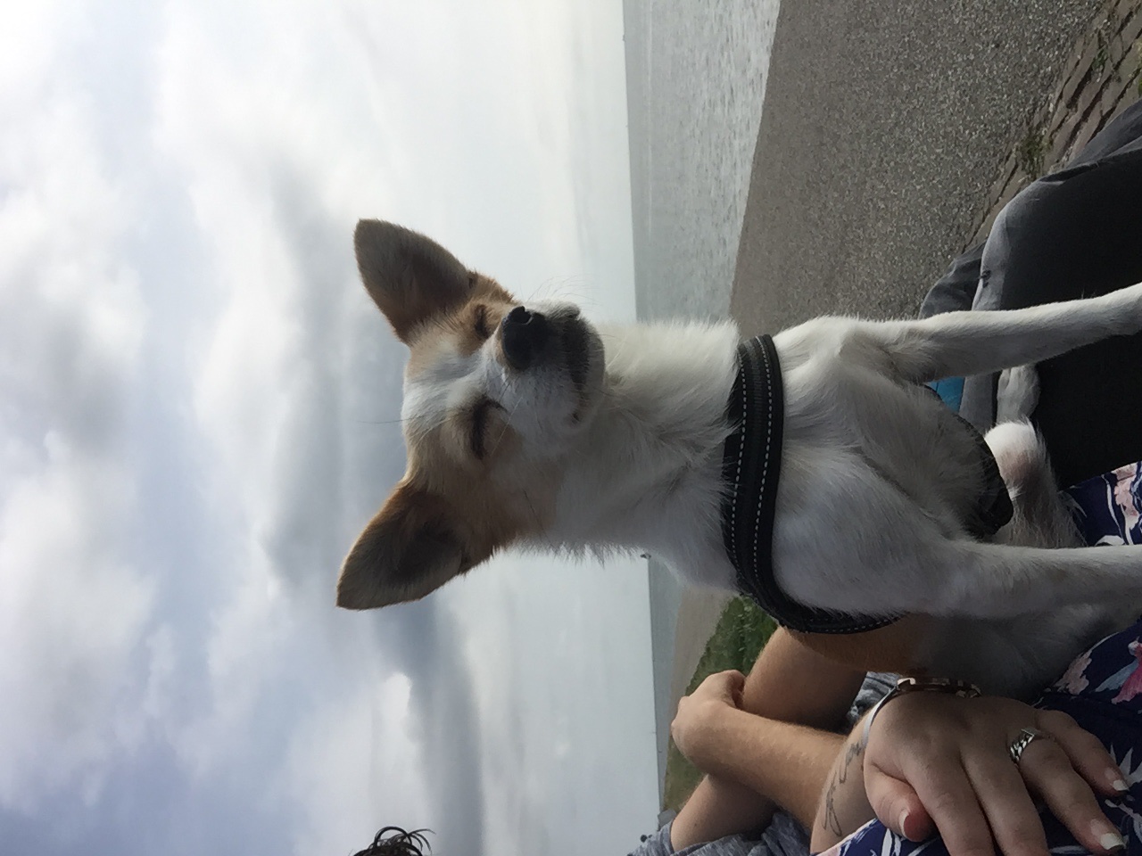 image-7