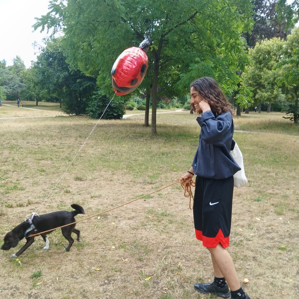 image-4