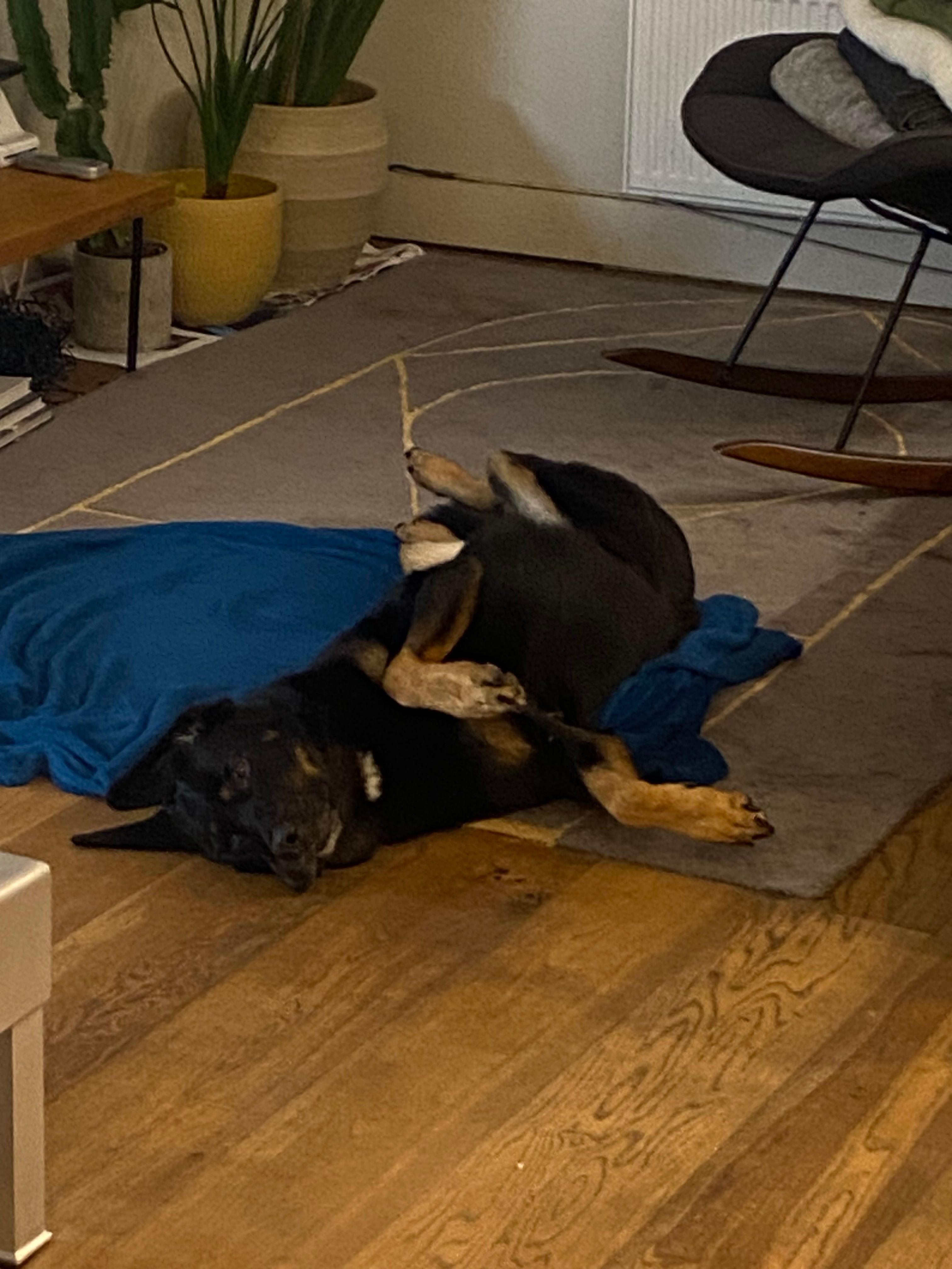 image-17
