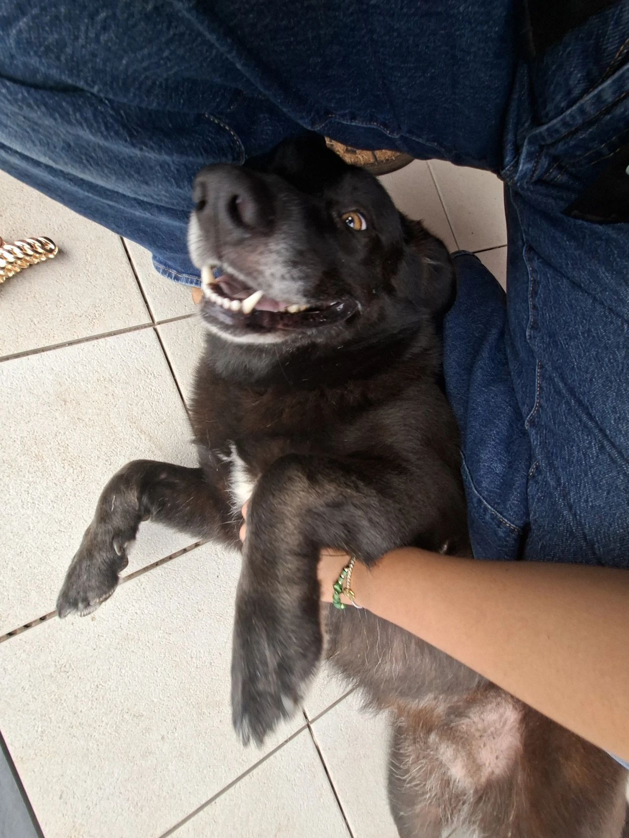 image-9