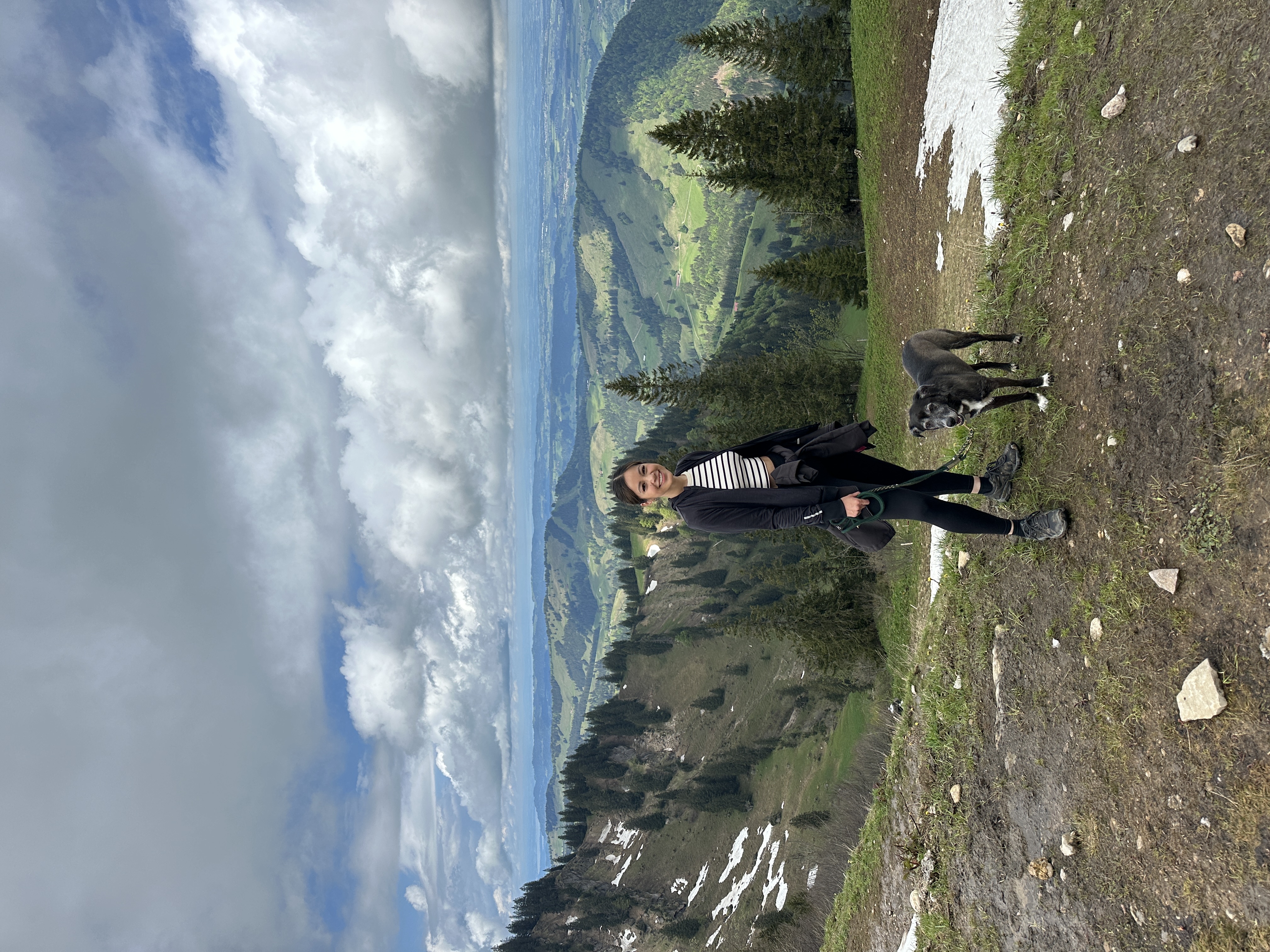 image-3