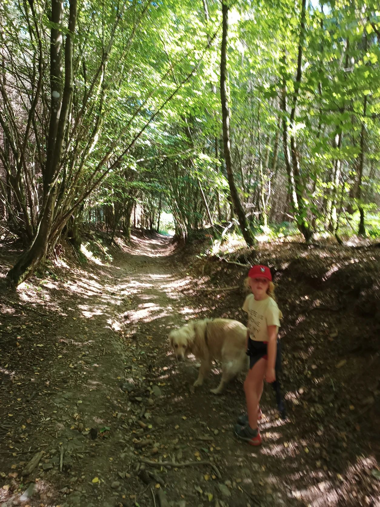 image-4
