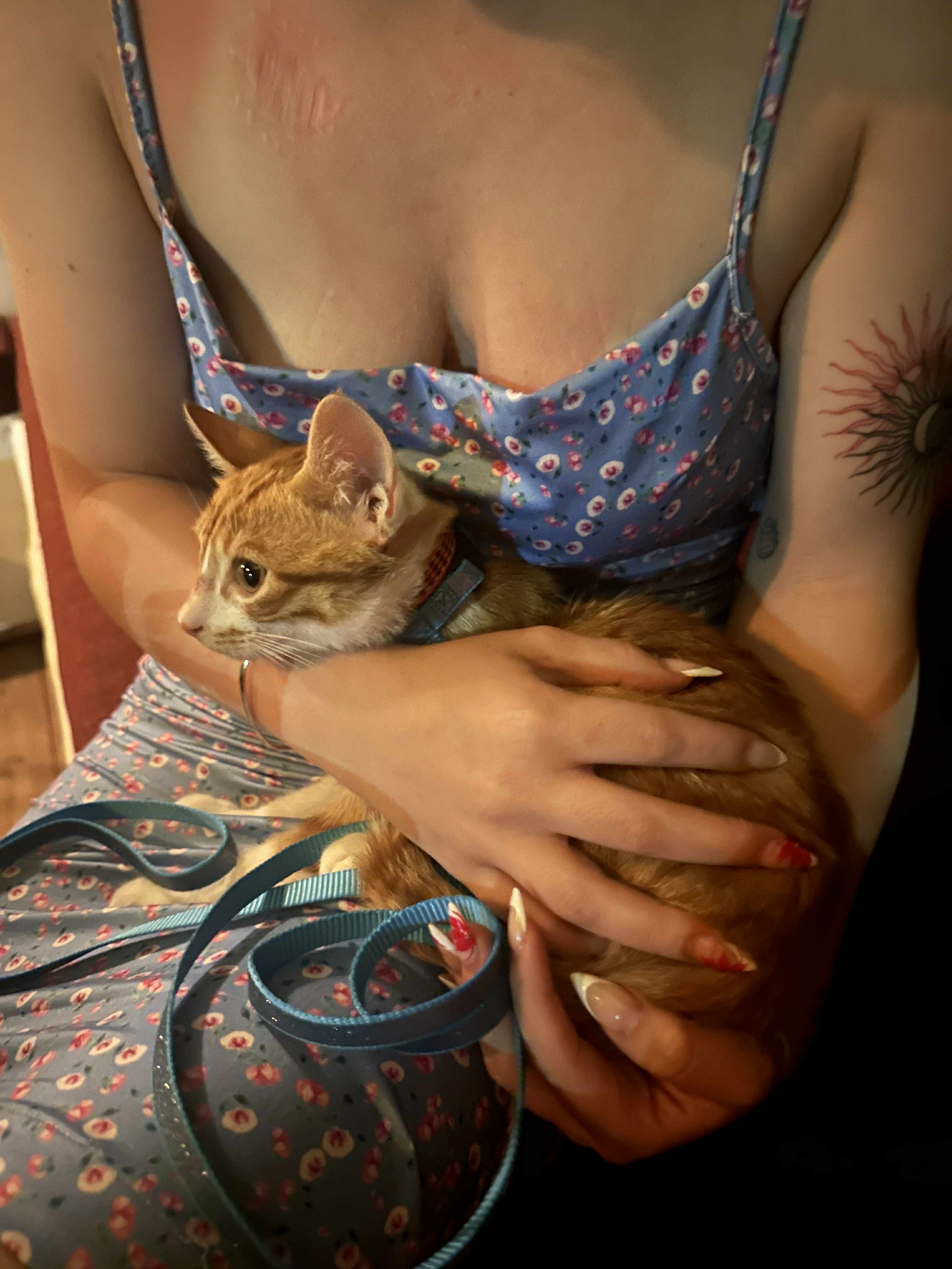 image-6