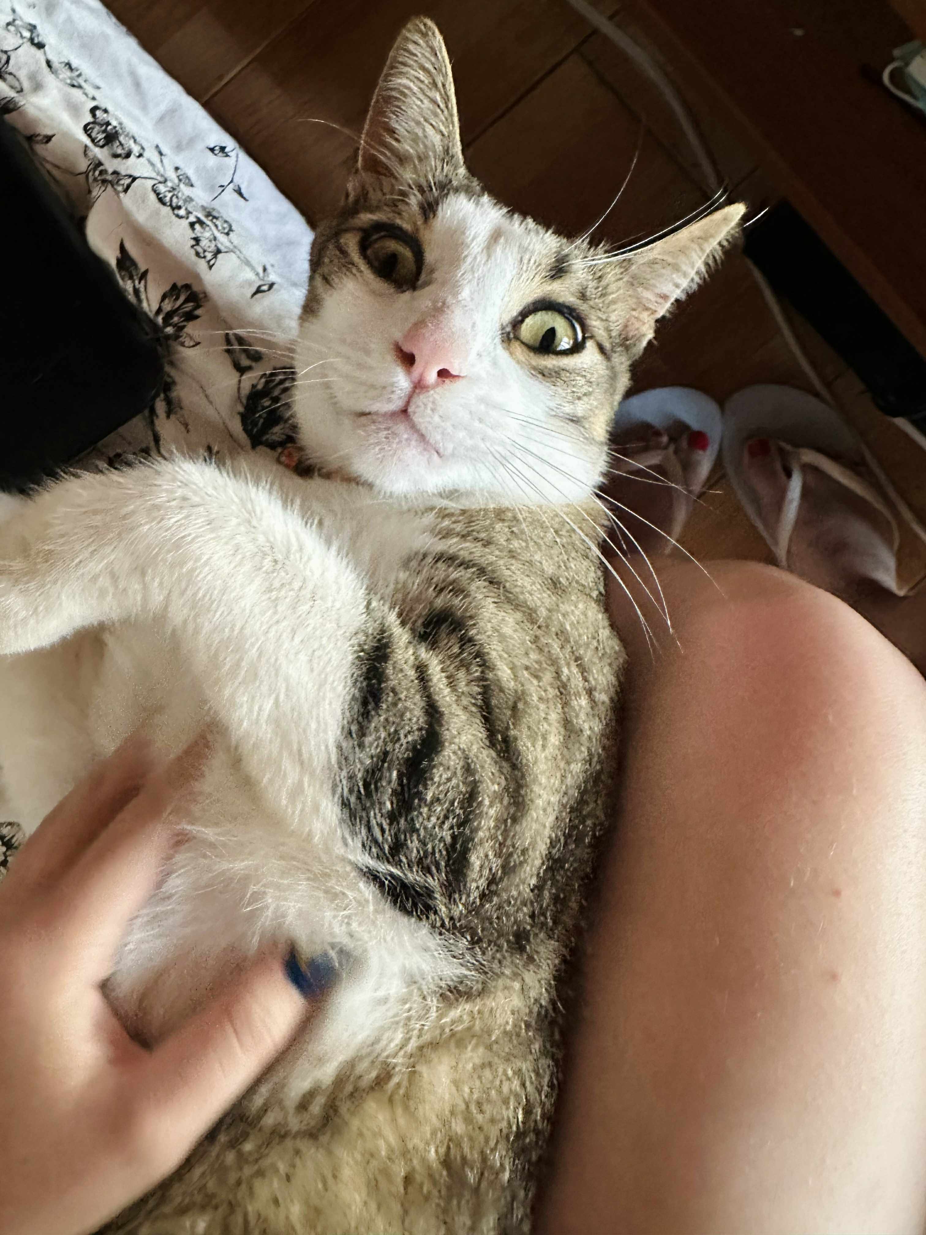 image-8