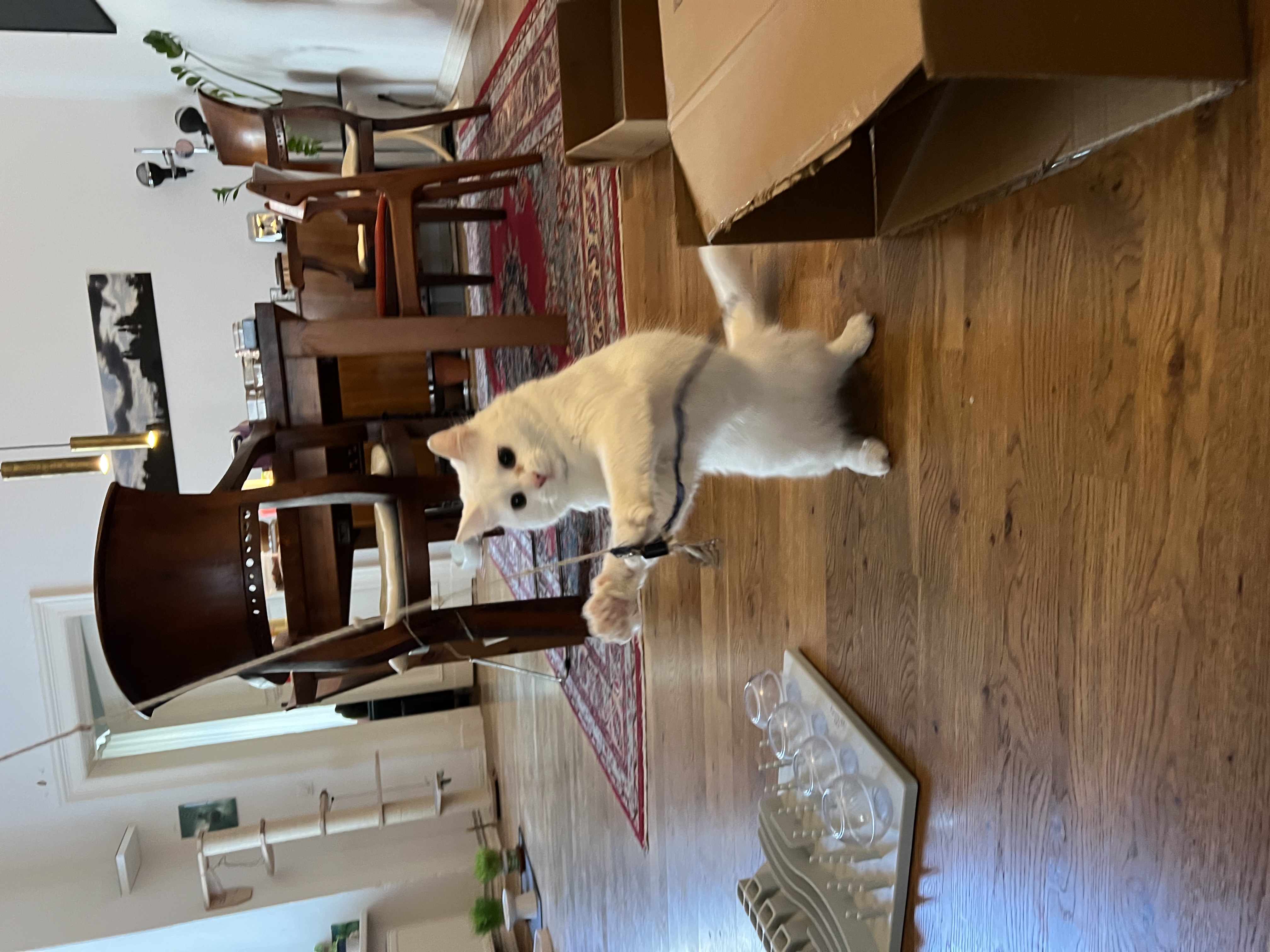 image-17