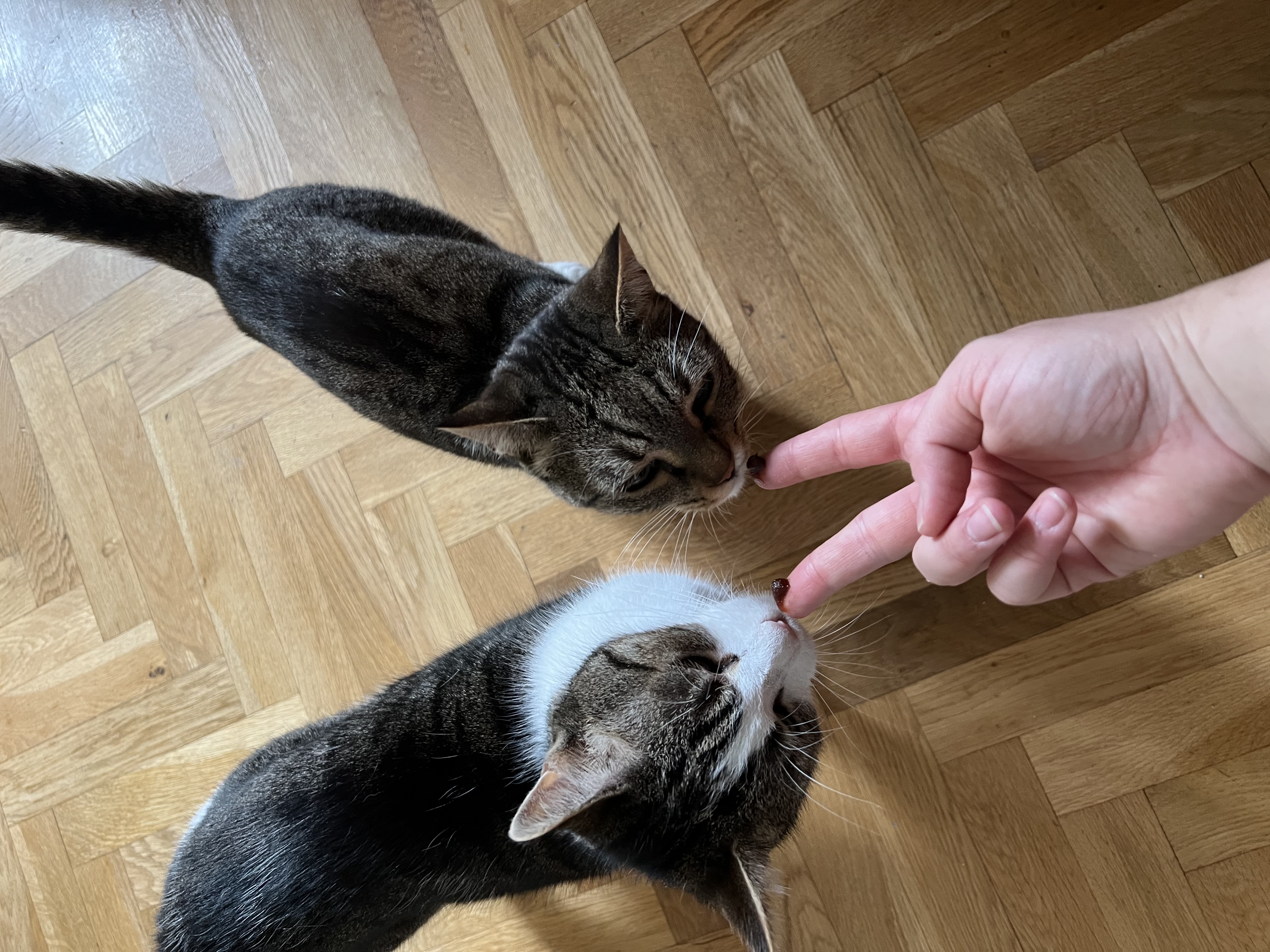 image-8