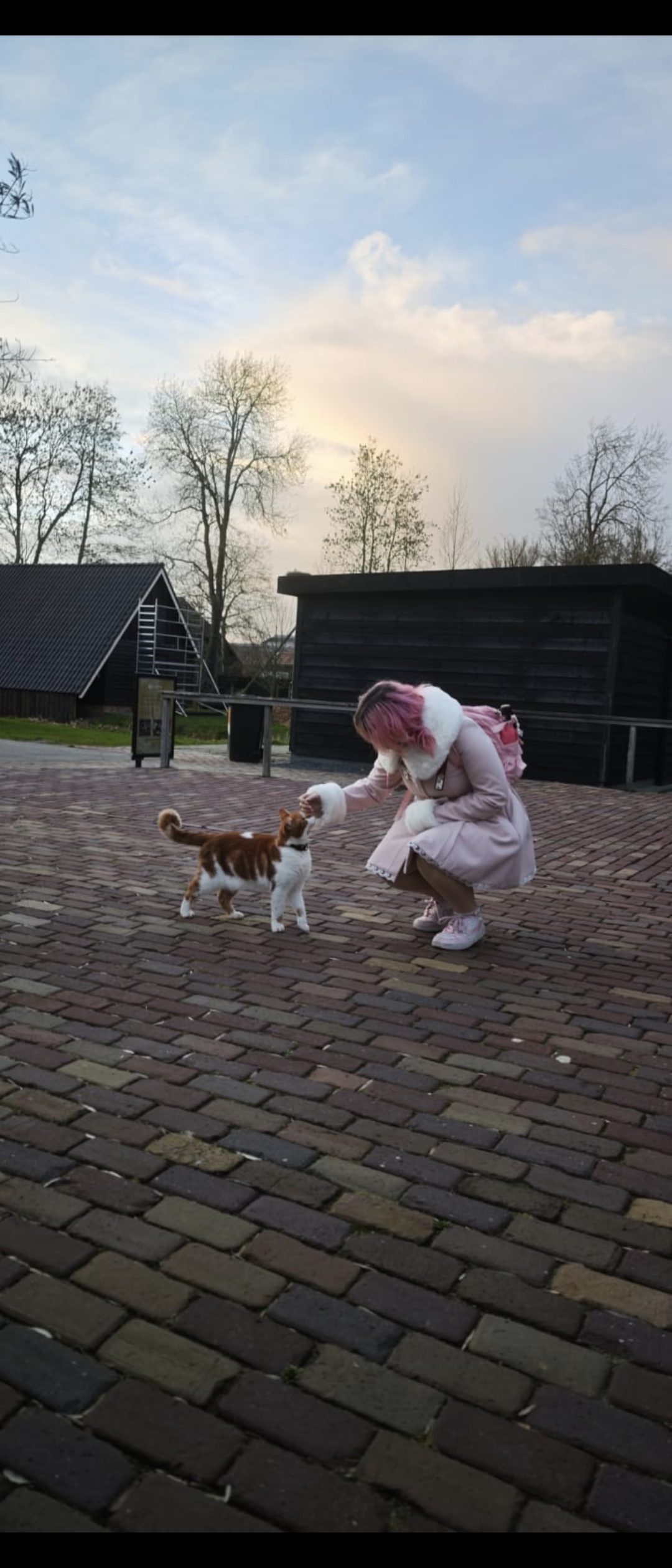 image-7
