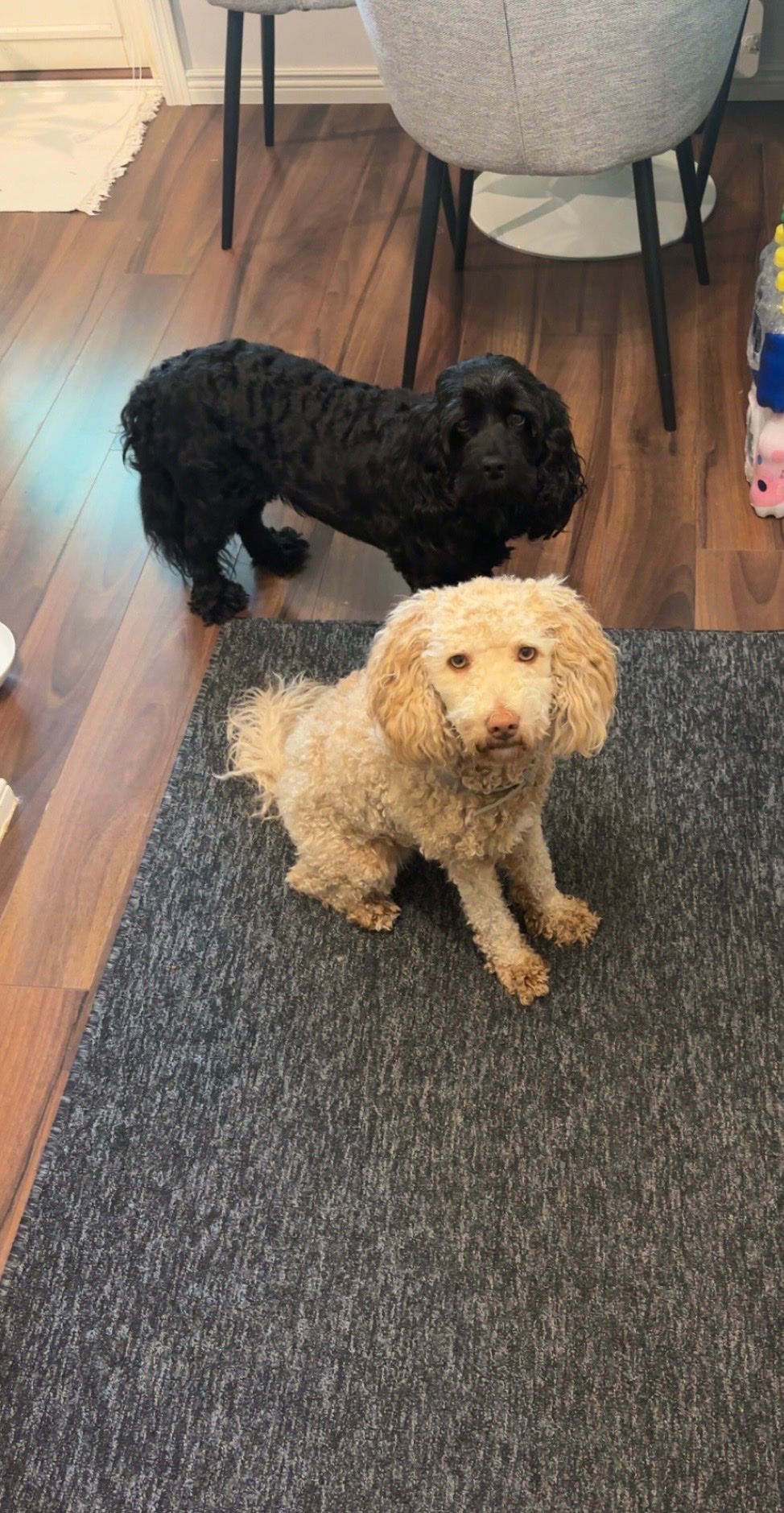 image-4