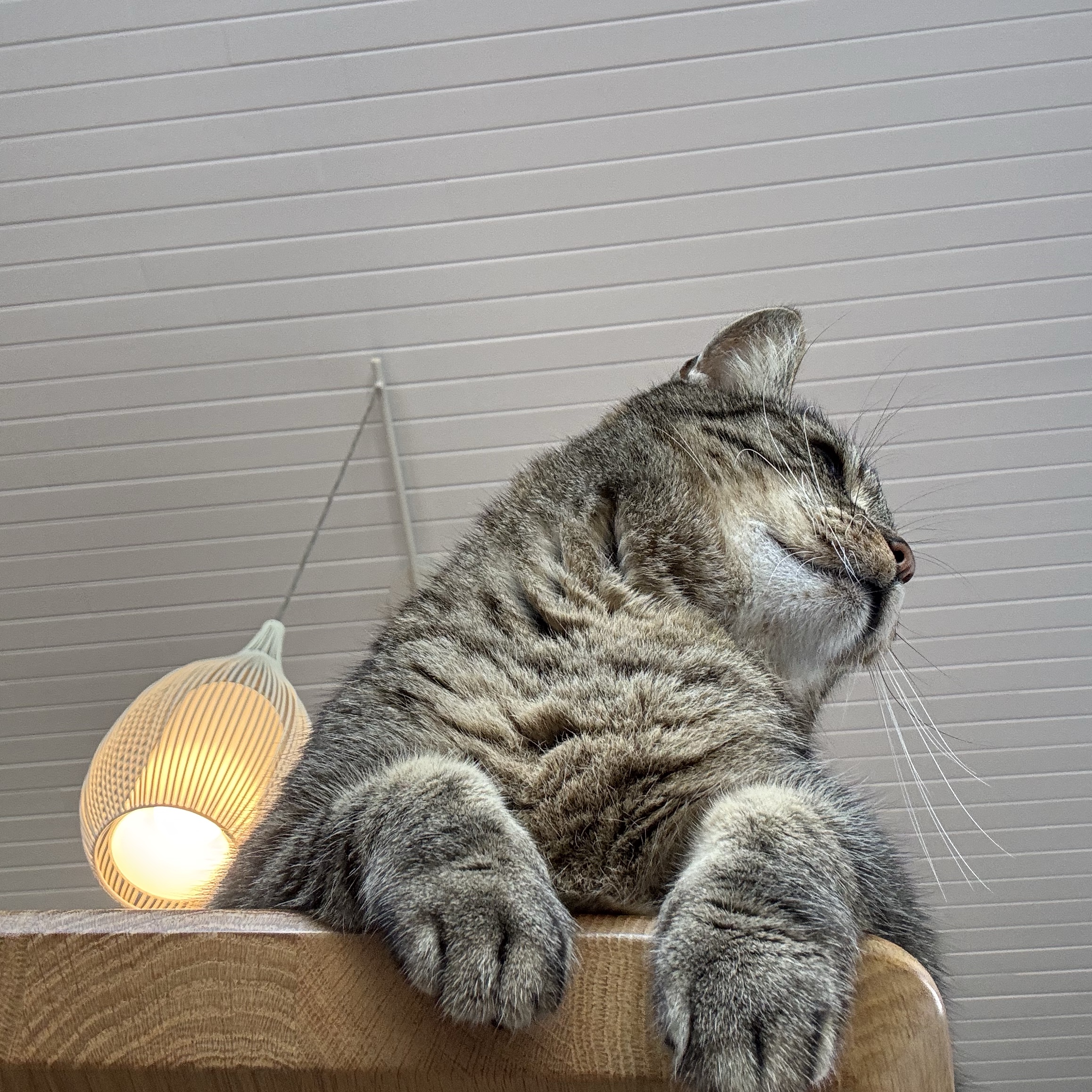 Marcel