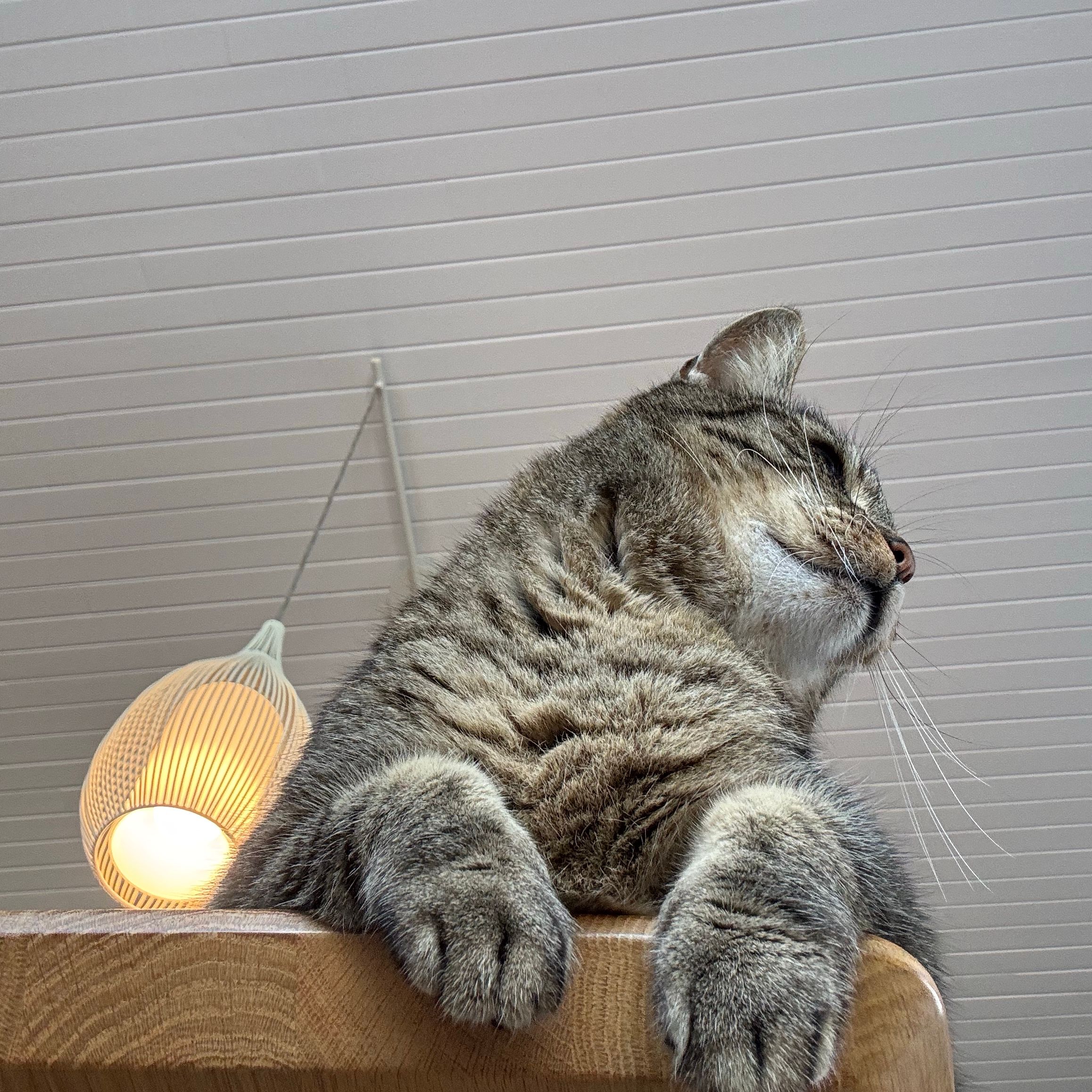 Marcel