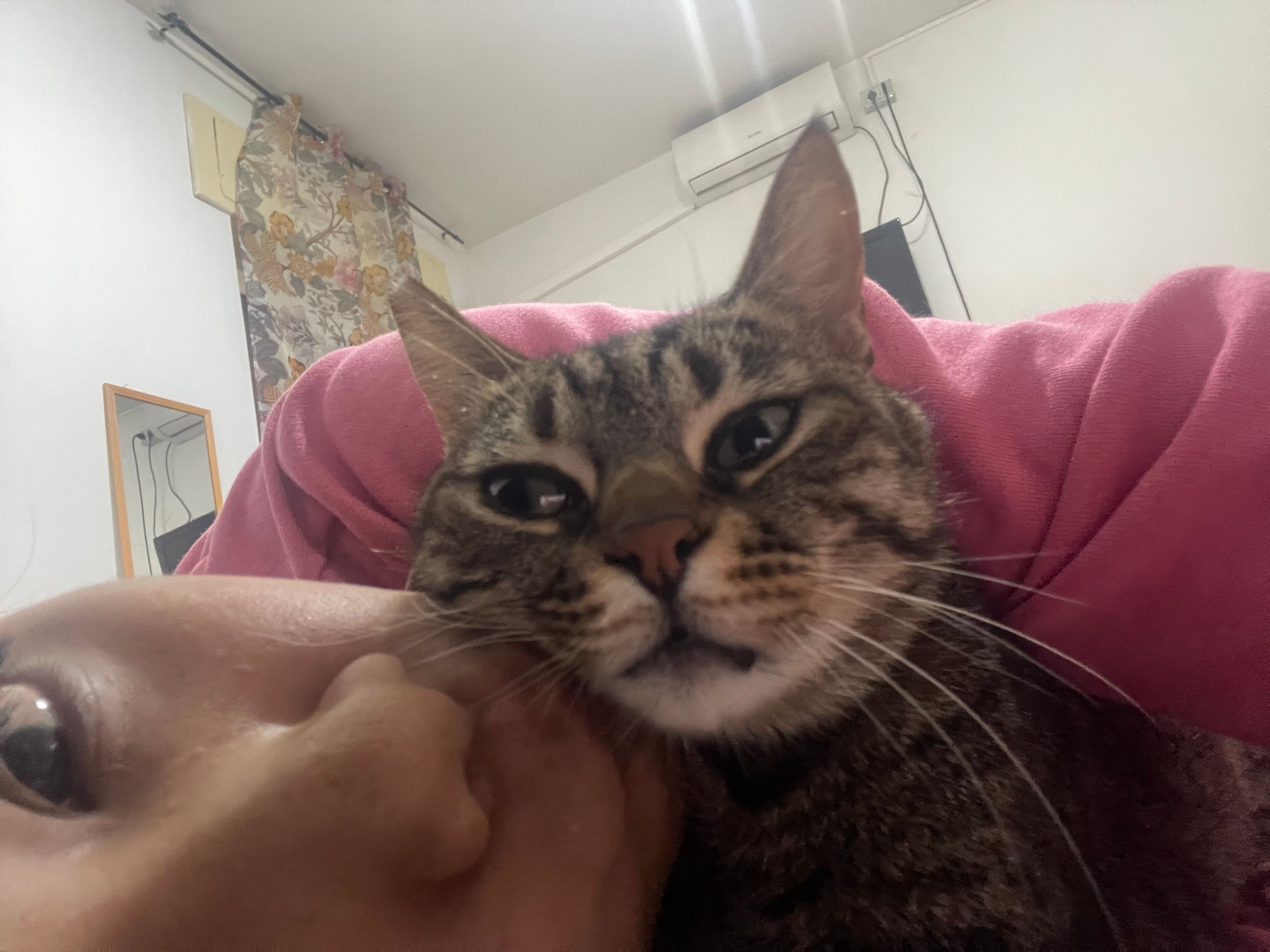 image-7