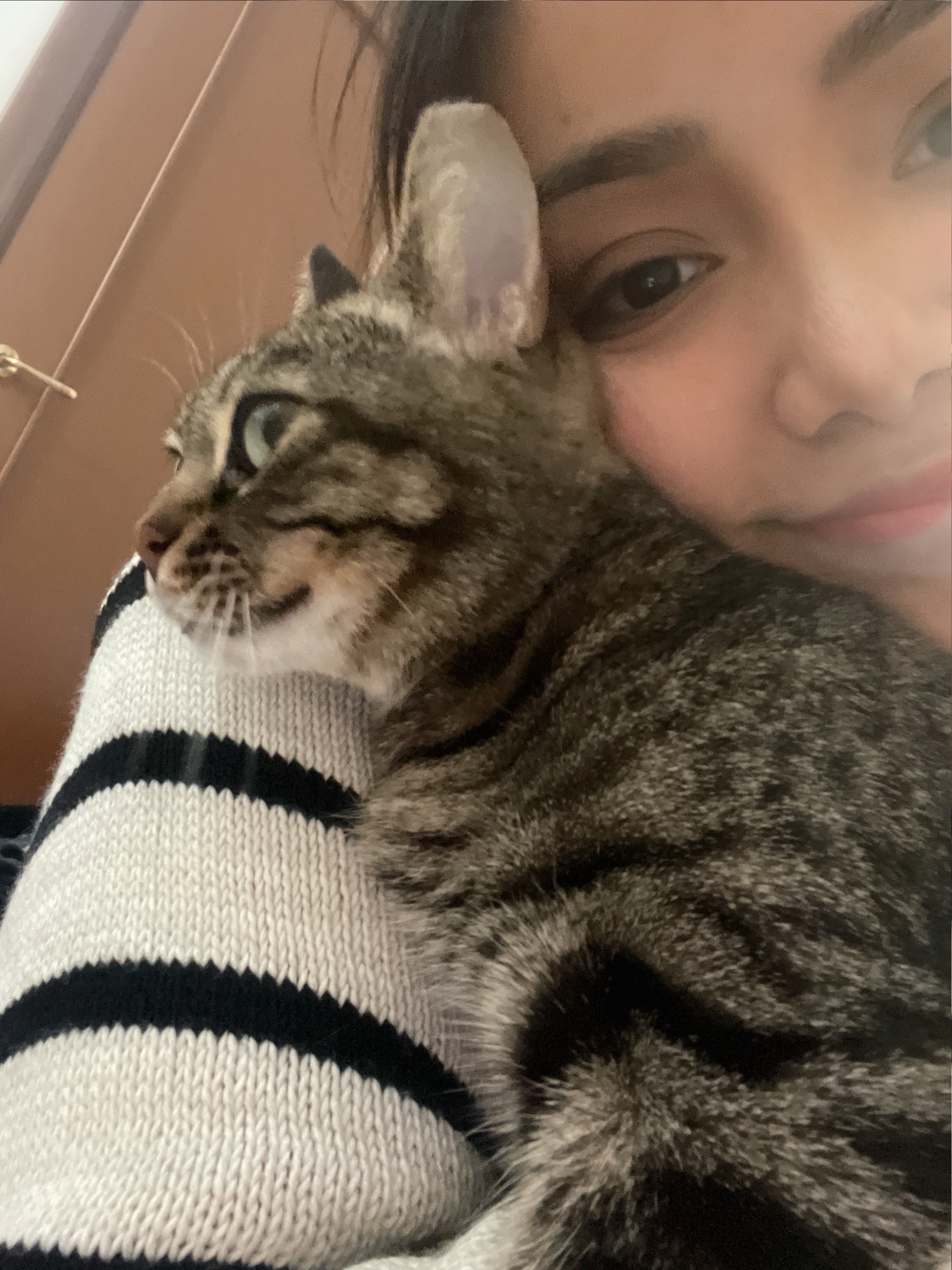 image-6