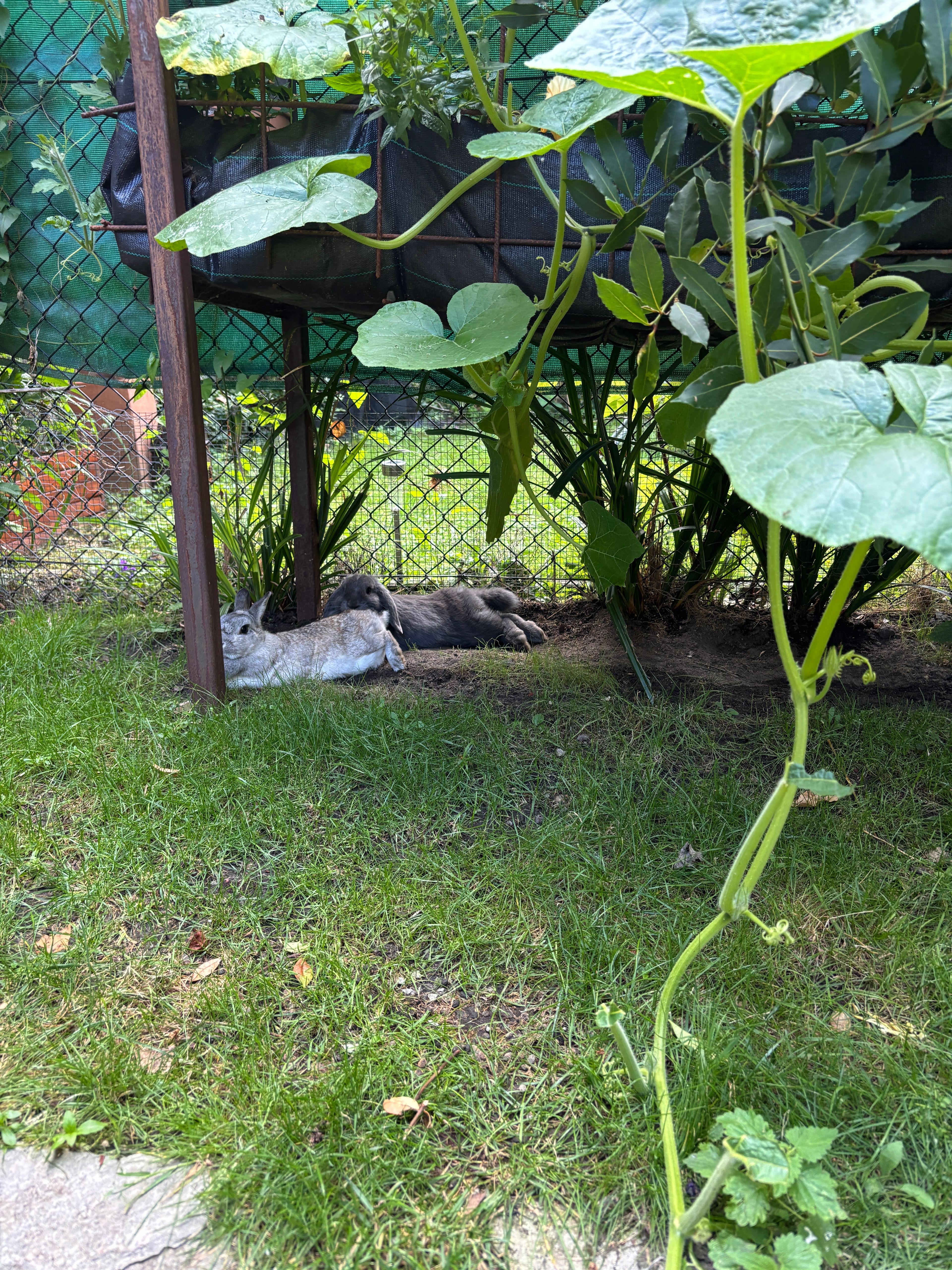 image-16