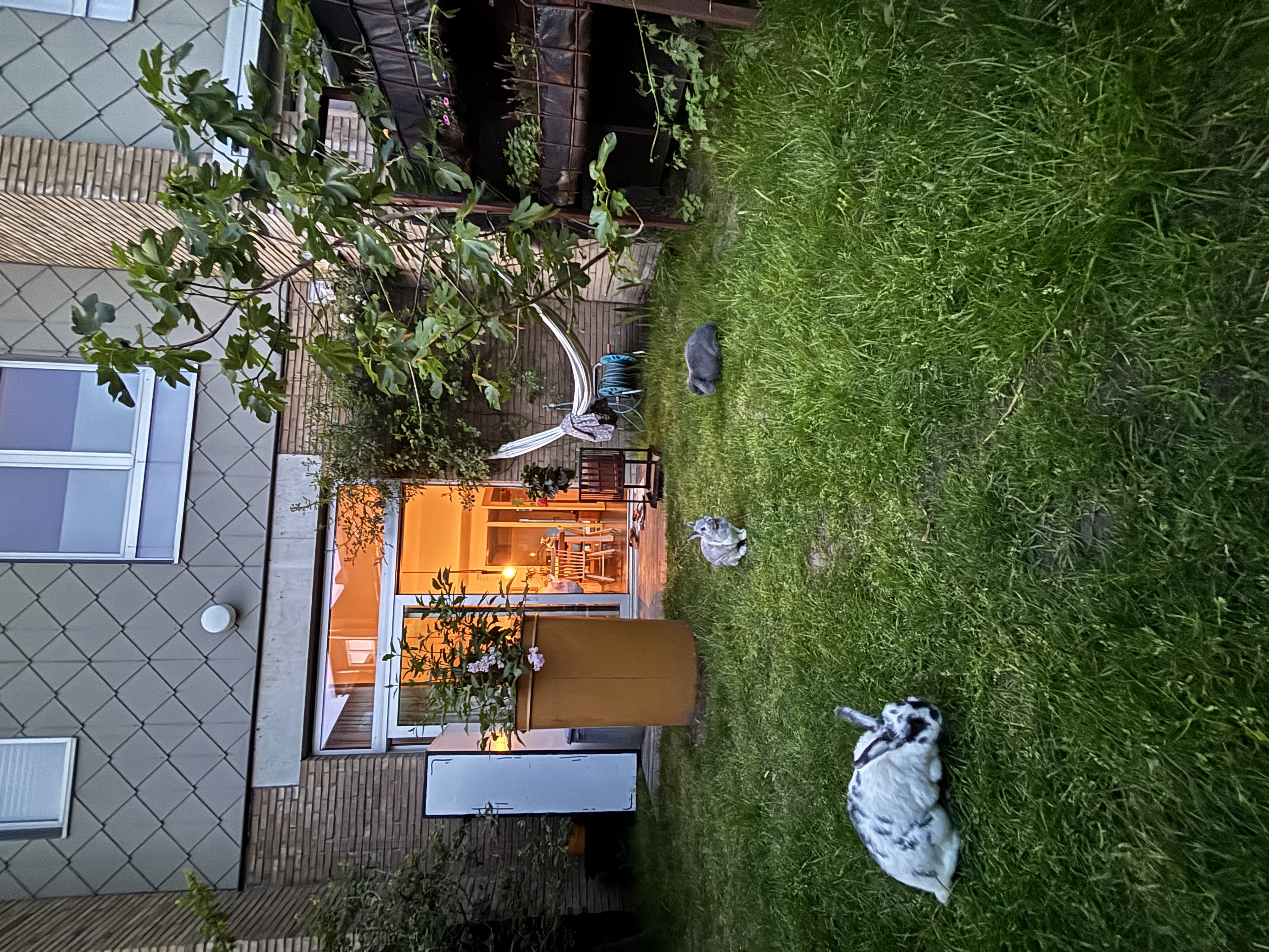 image-14