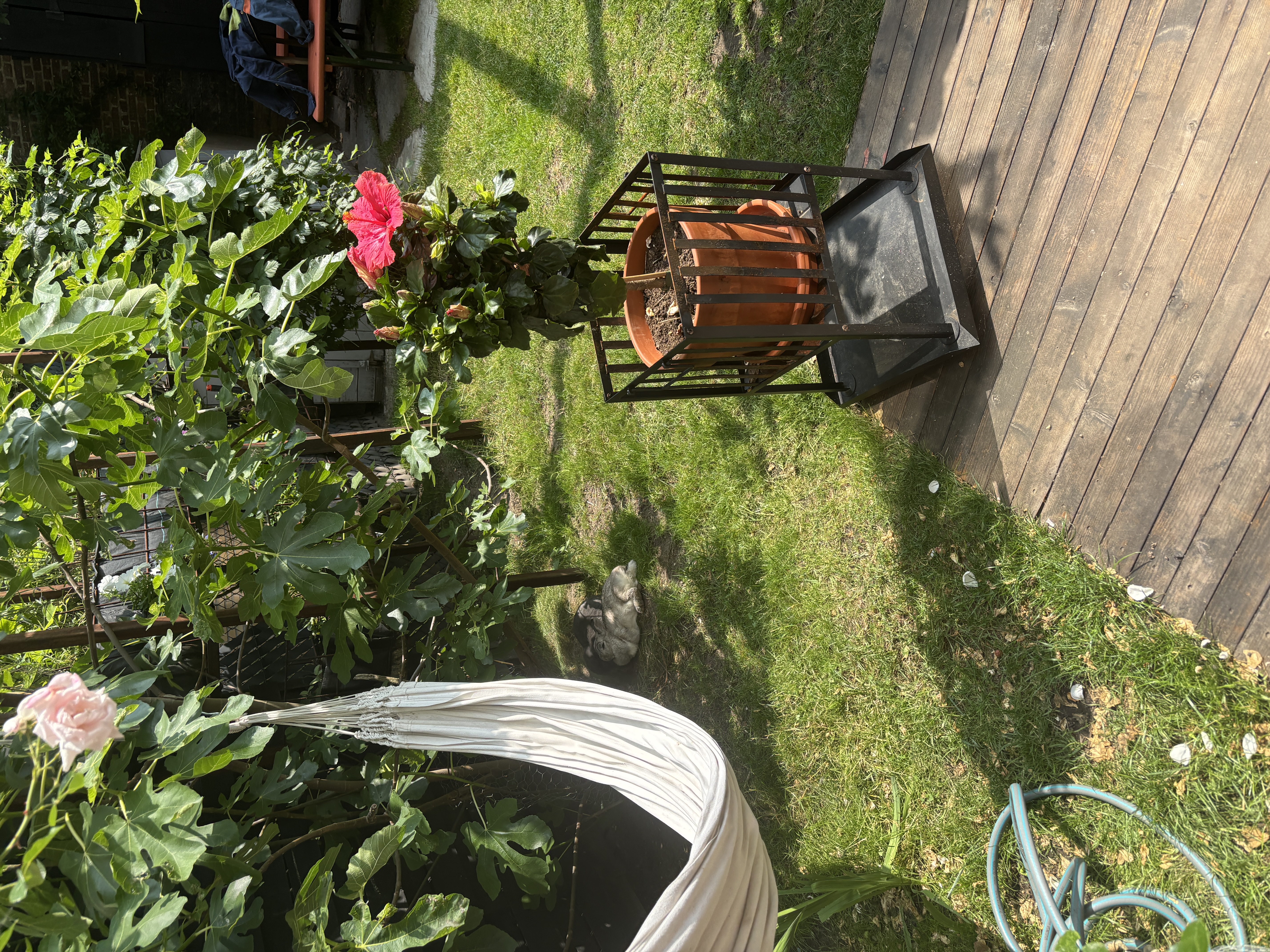 image-17