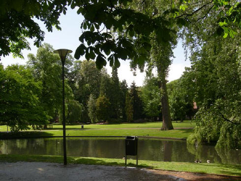 image-16
