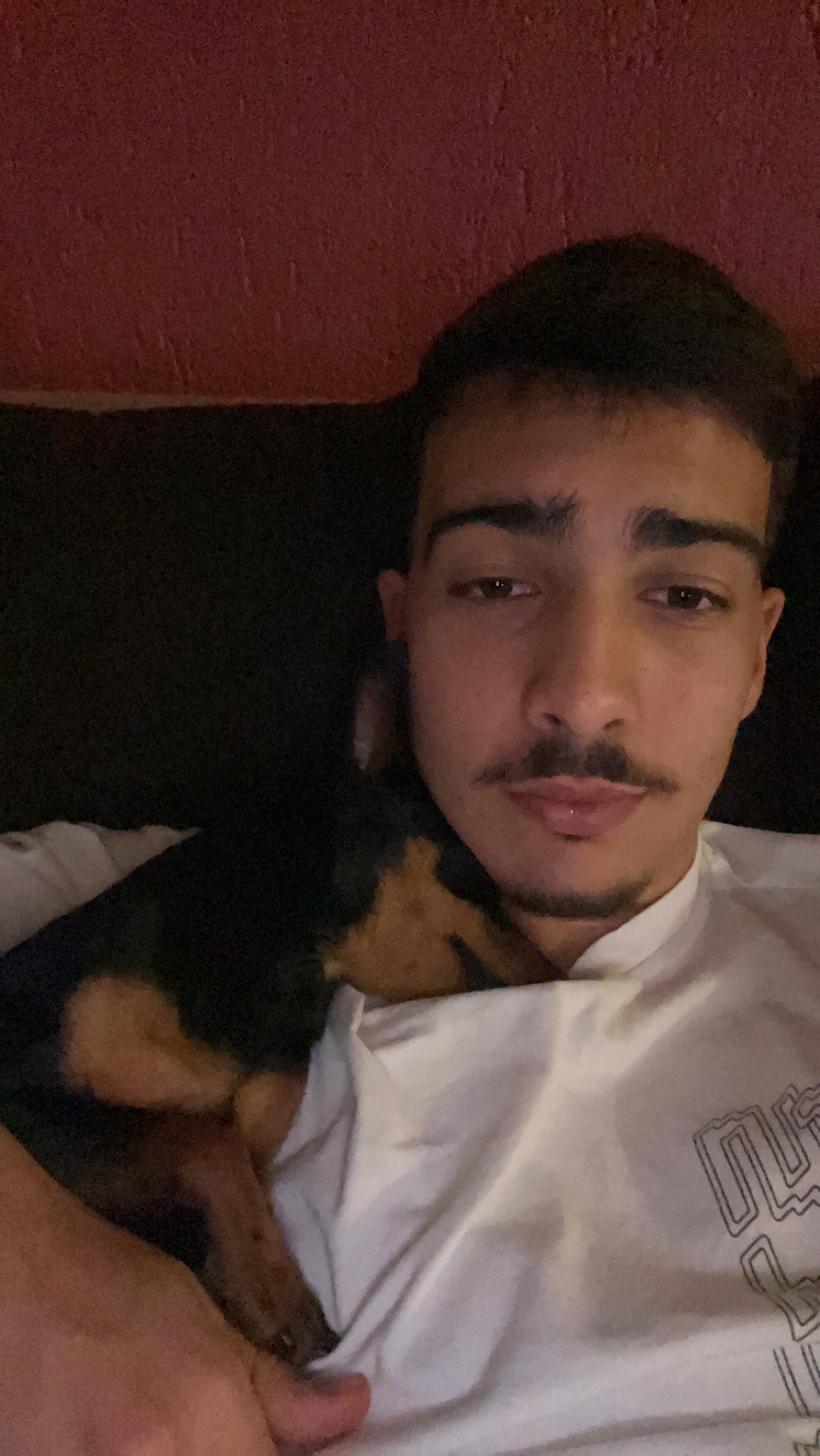 image-3