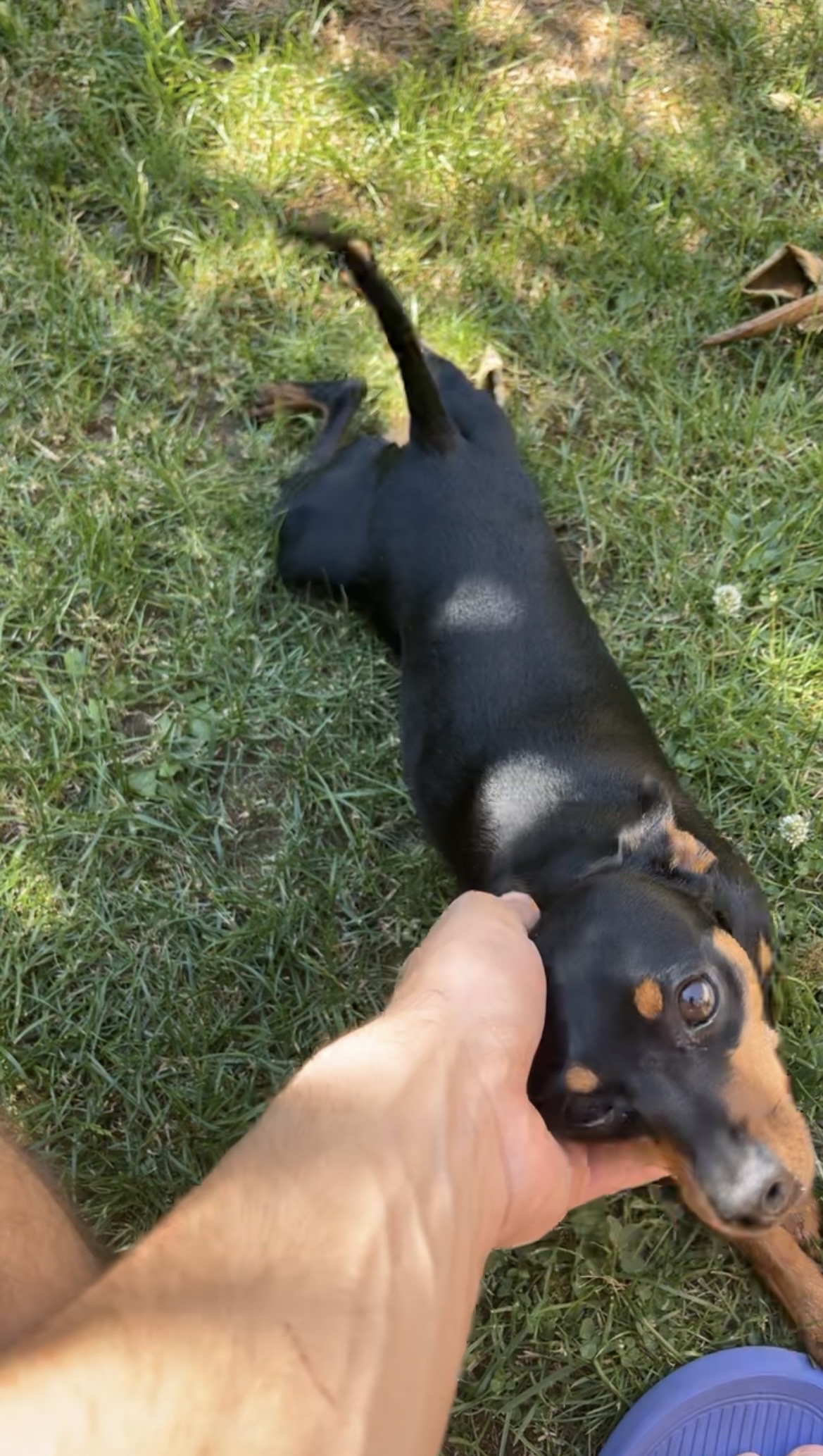 image-9