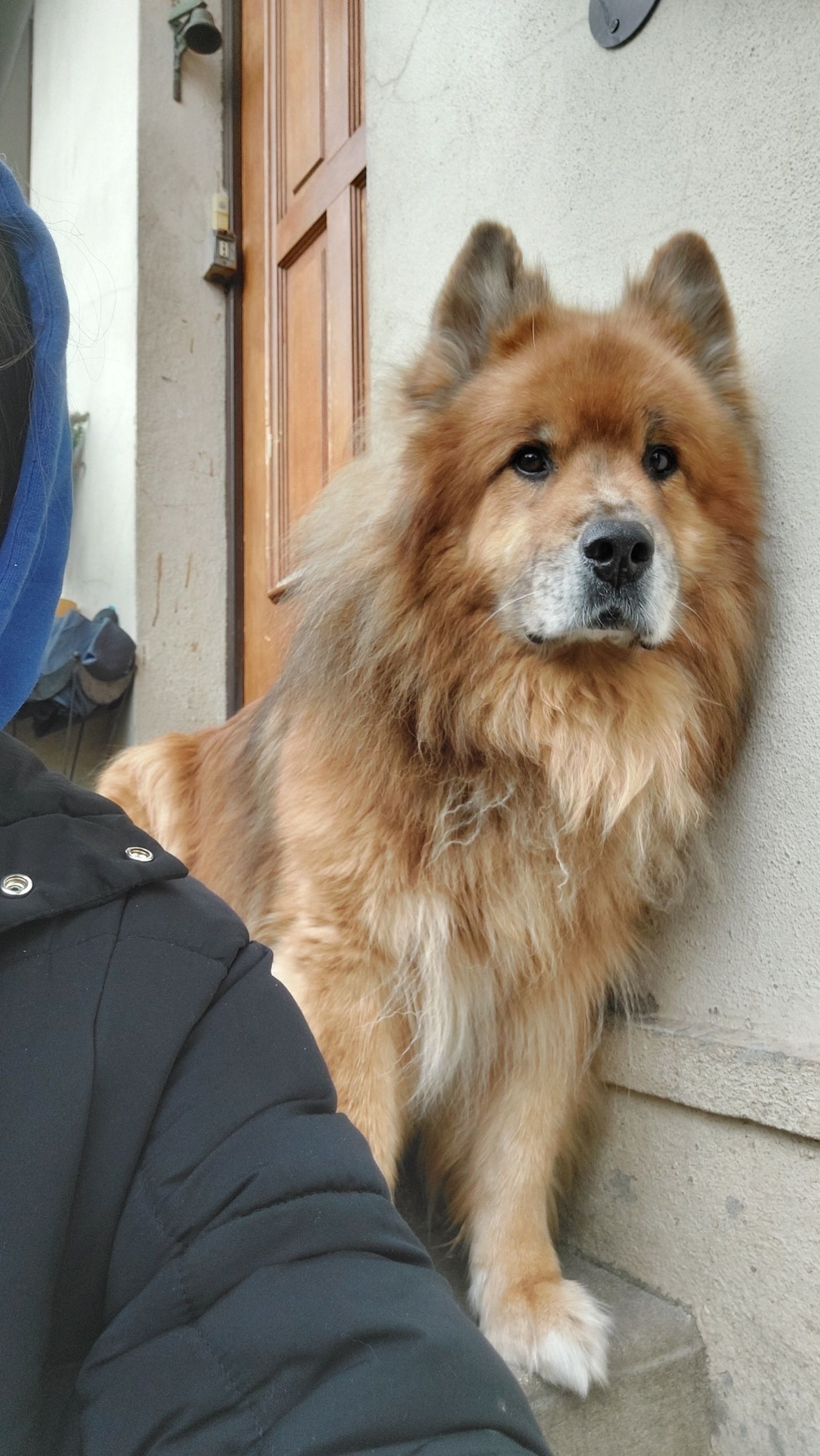 image-8