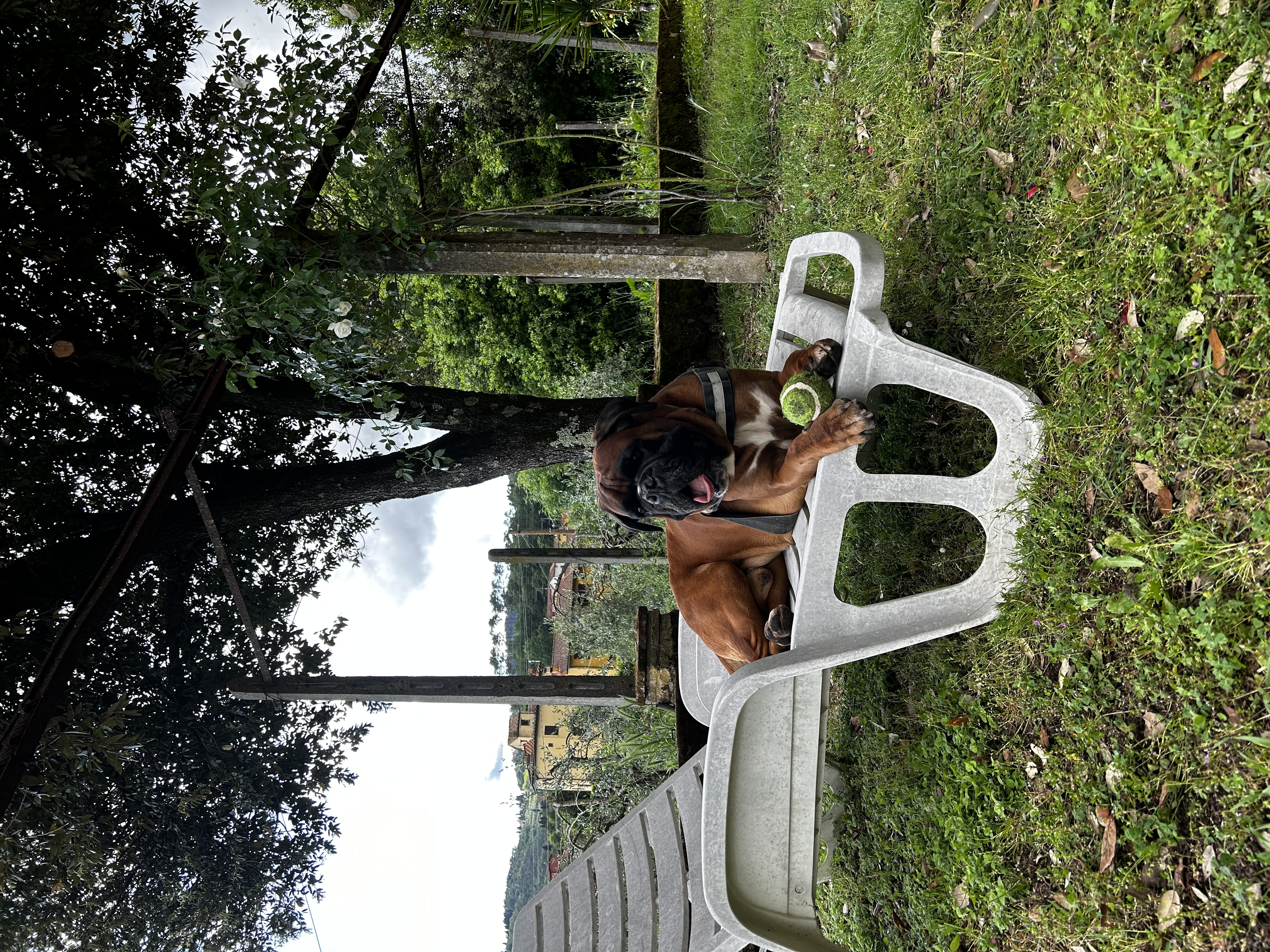 image-17