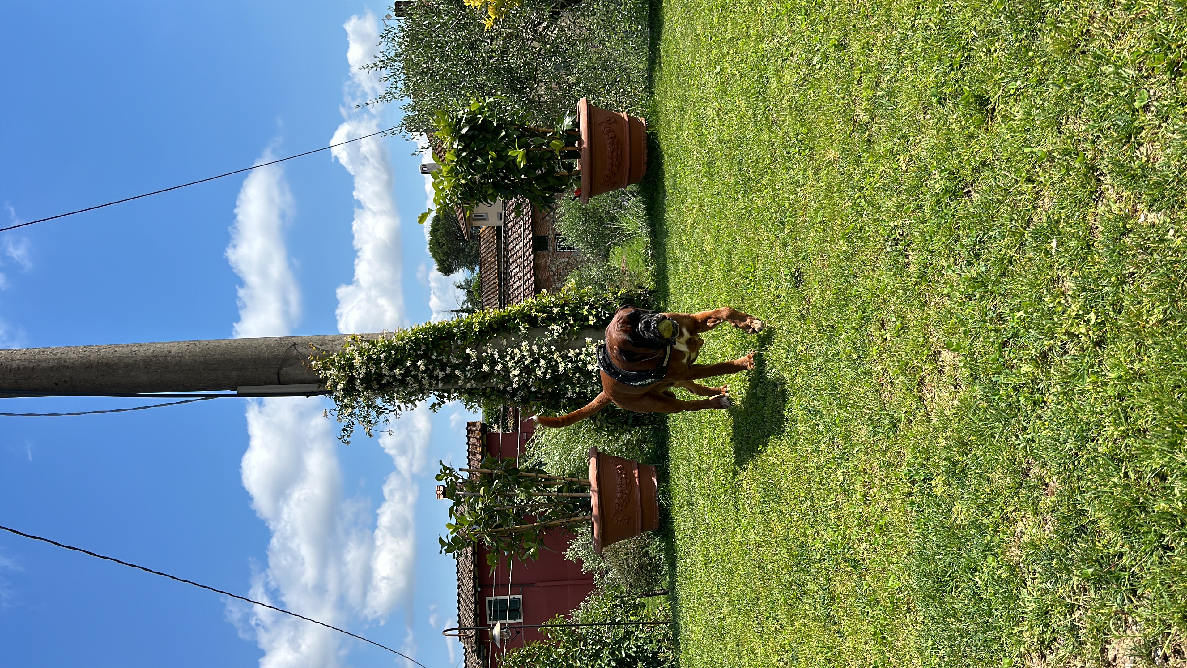 image-16