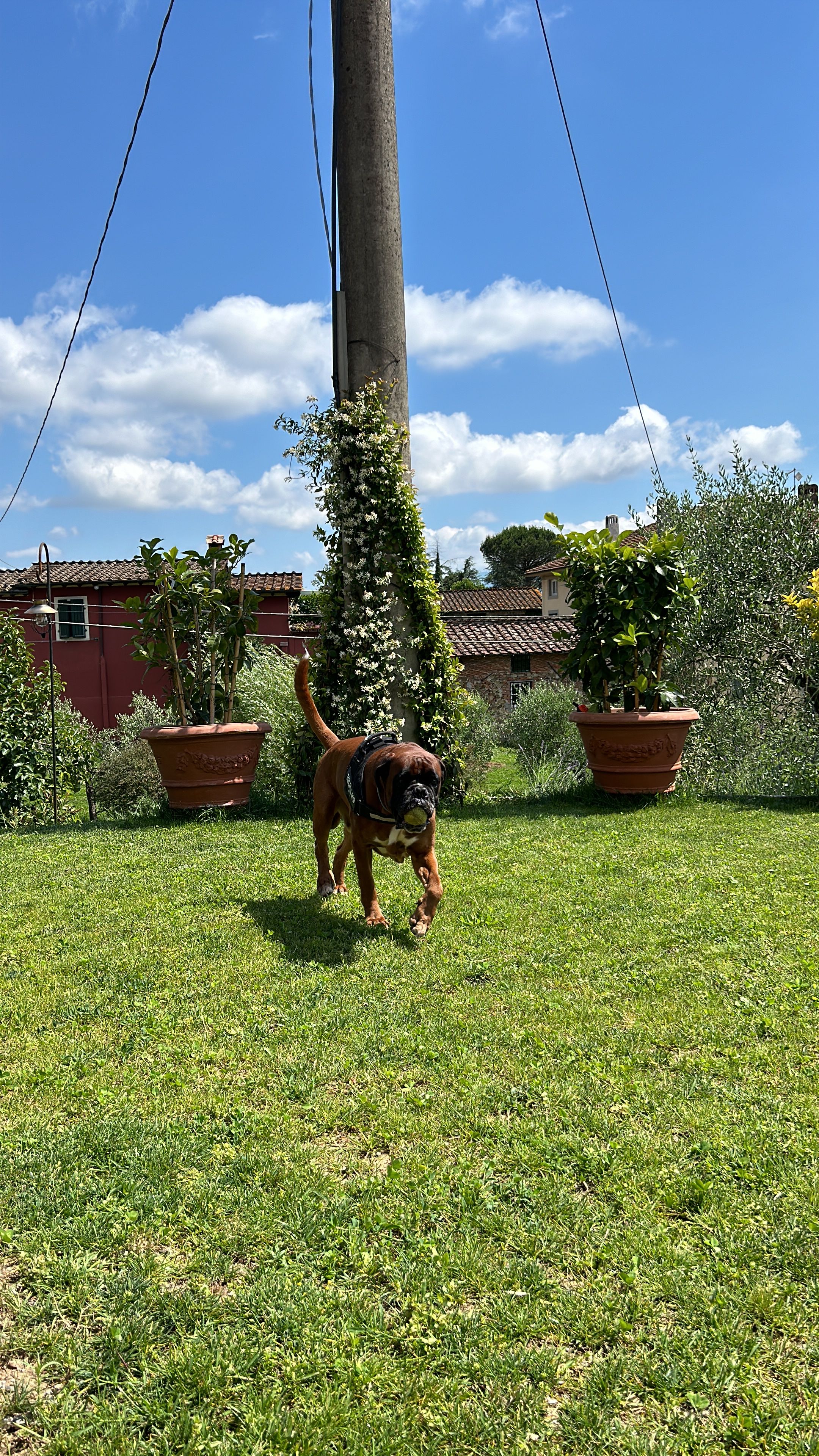 image-16