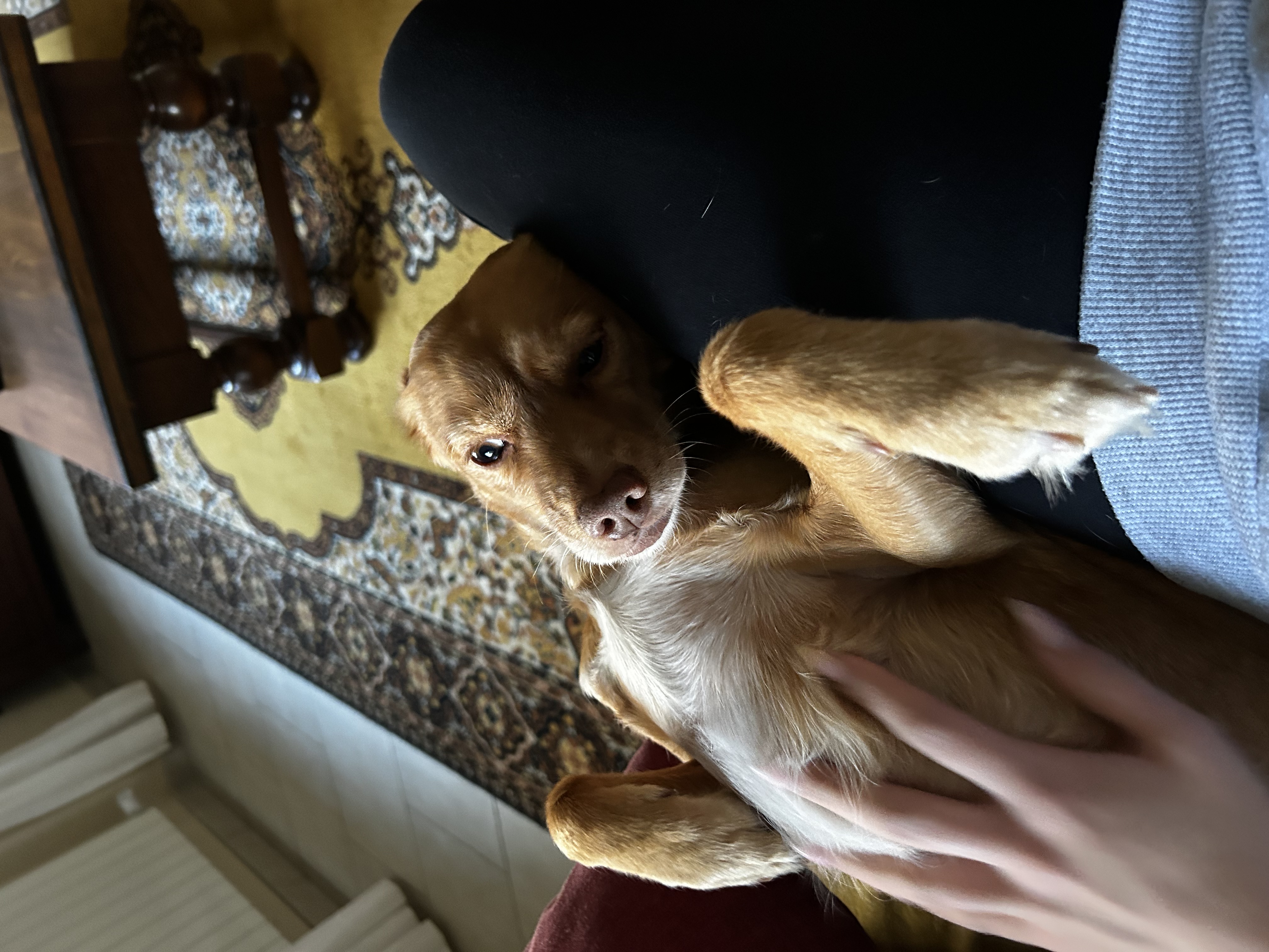 image-7