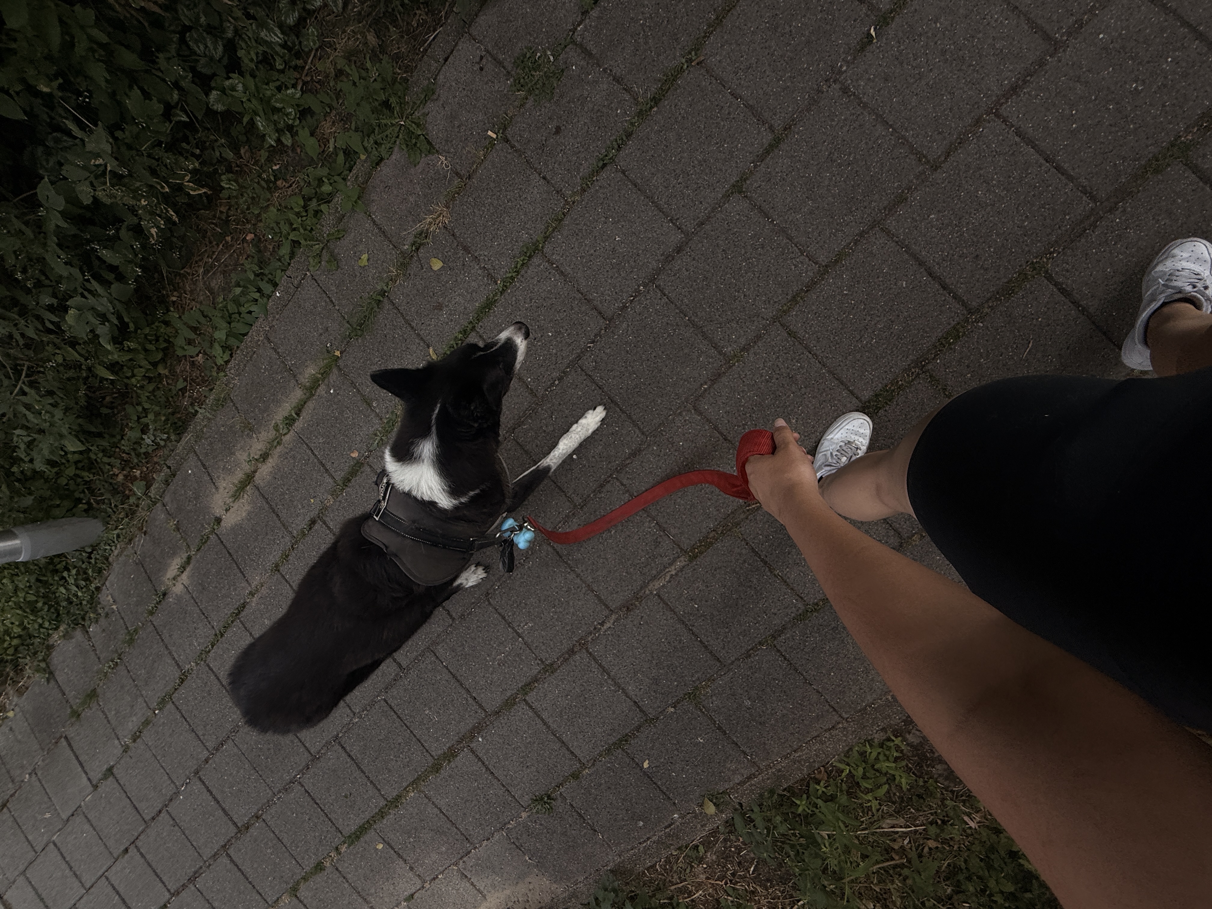 image-14
